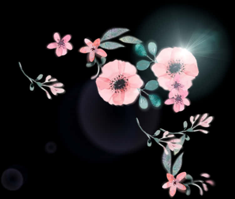粉紅花朵 桌布 壁紙 — 粉紅色的花朵和藍綠色的葉子在黑色背景上漂浮，背景被發光的太陽光暈鏡頭光暈照亮。