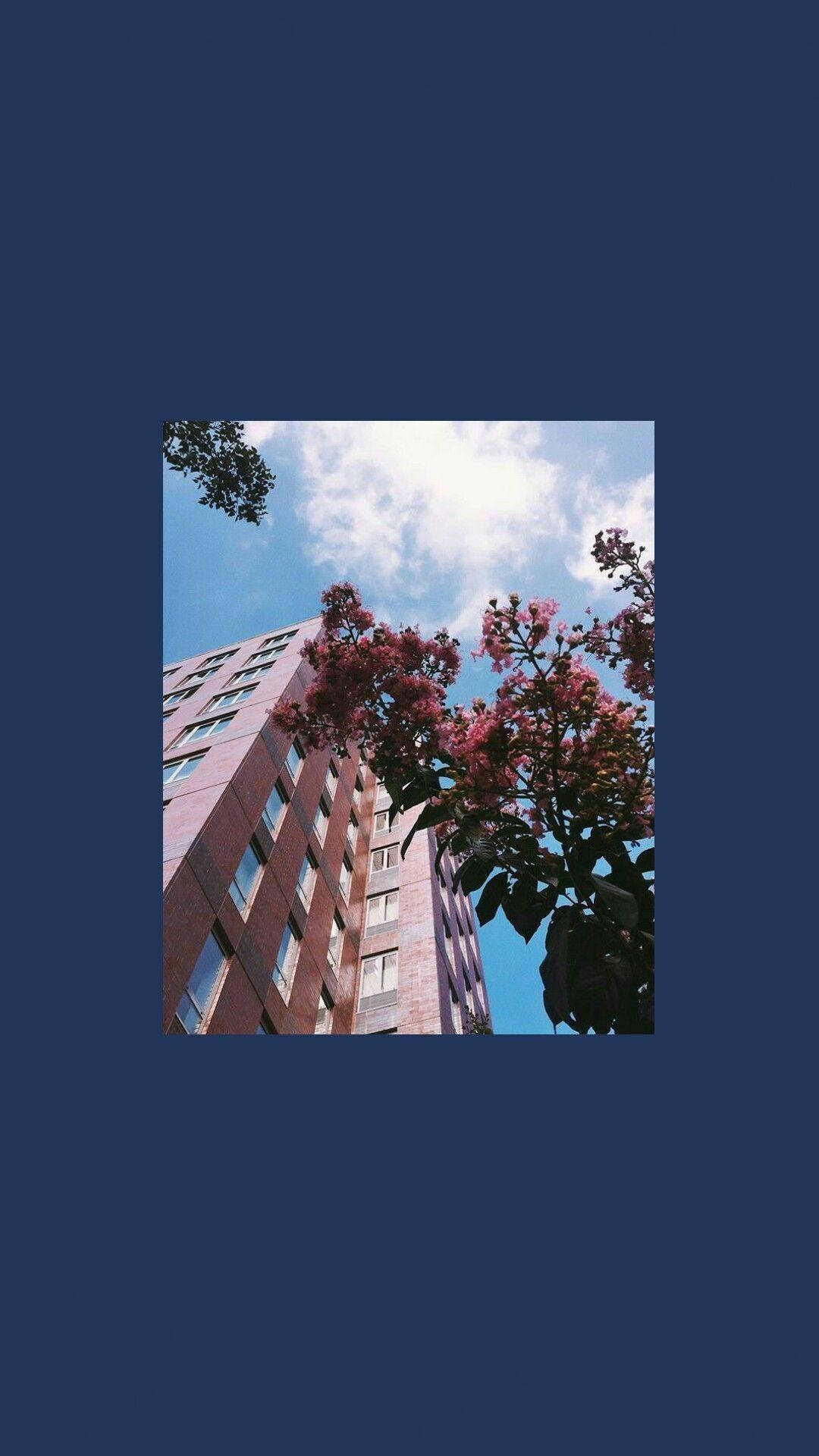 Lockscreen 桌布 壁紙 — 粉紅色的開花樹枝框住一棟高聳的磚造建築，背景是明亮的藍天和蓬鬆的白雲。