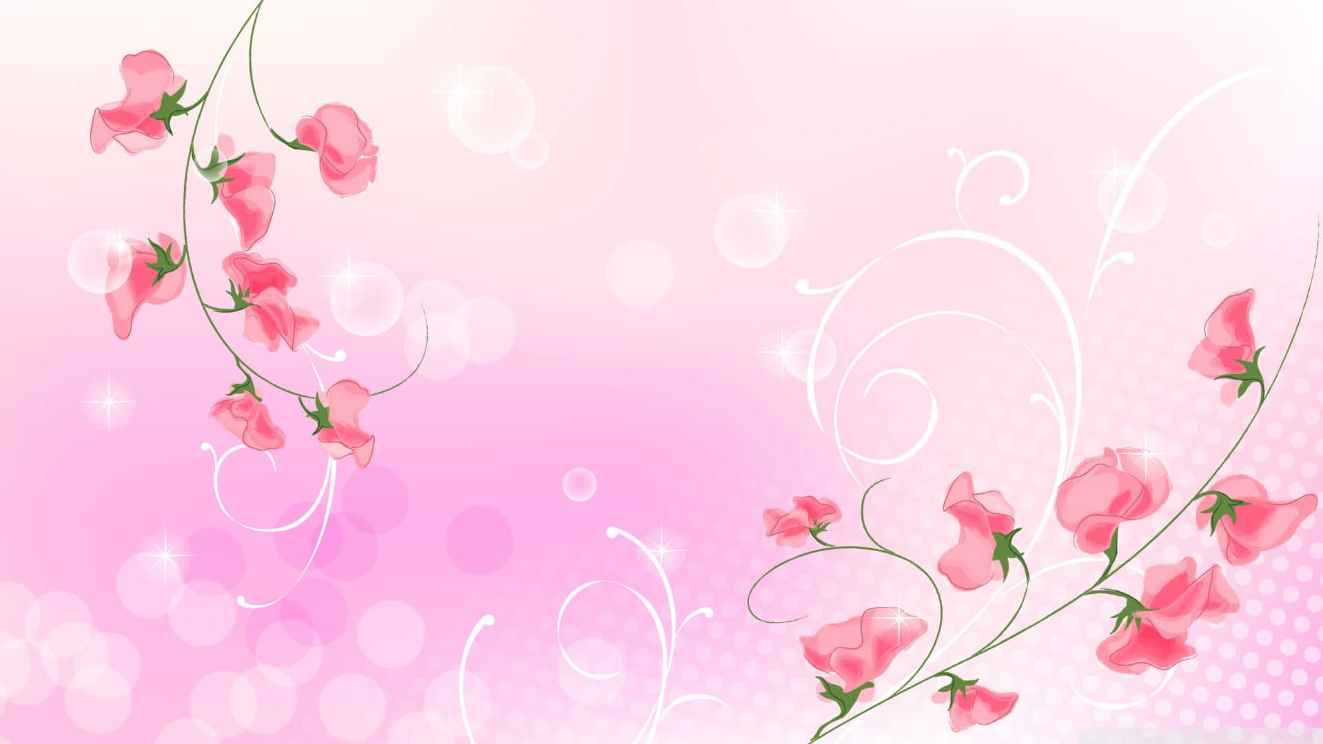Simple Pink 桌布 壁紙 — 粉紅色的香豌豆花與綠色莖稈在柔和的漸變粉紅色背景上優雅地旋轉，伴隨著散景燈光和白色裝飾性漩渦。