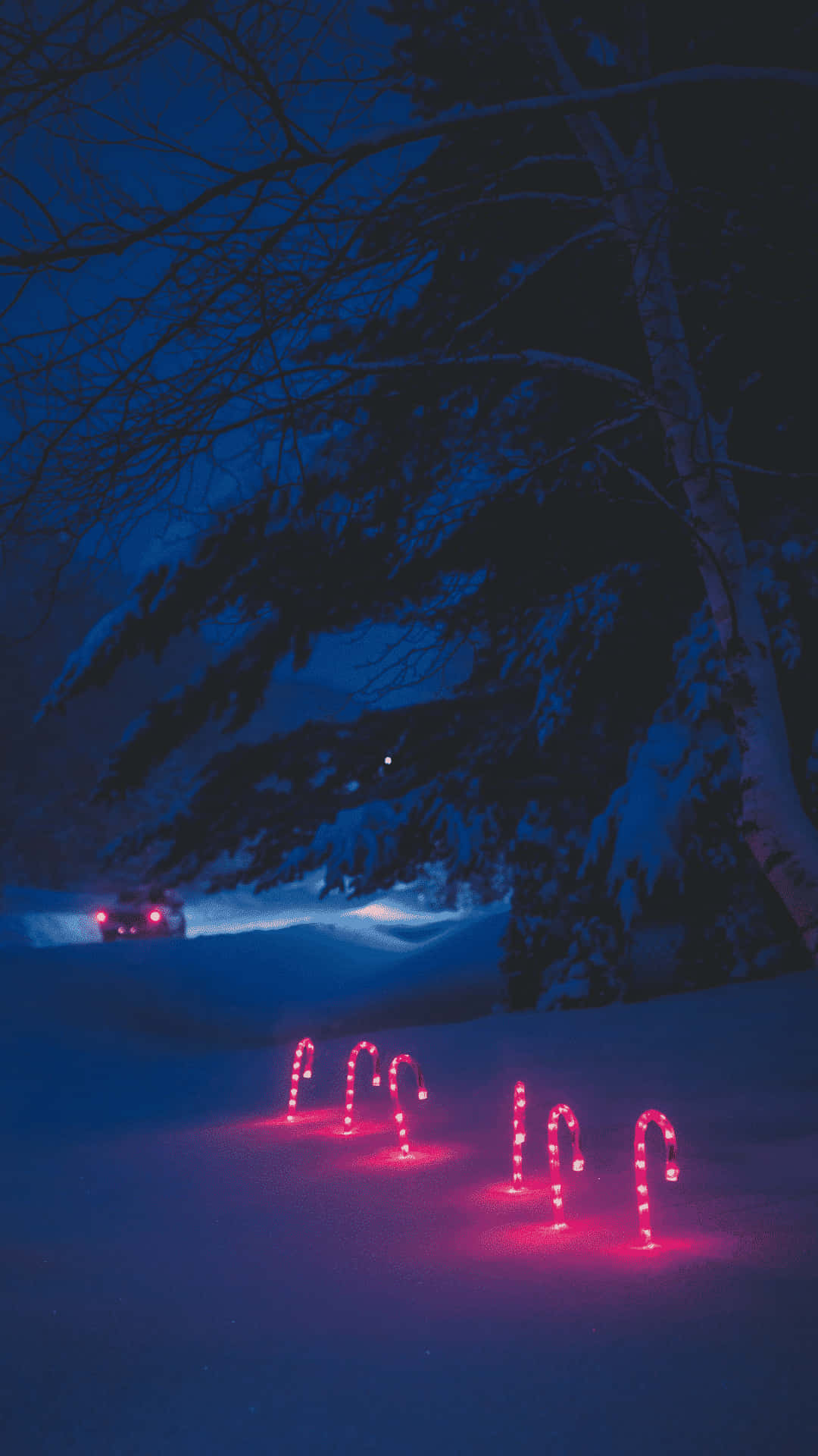iPhone Christmas Aesthetic 桌布 壁紙 — 粉紅色糖果杖燈在深藍色的雪中溫暖地發光，星空下光禿的樹木和遠處的汽車。