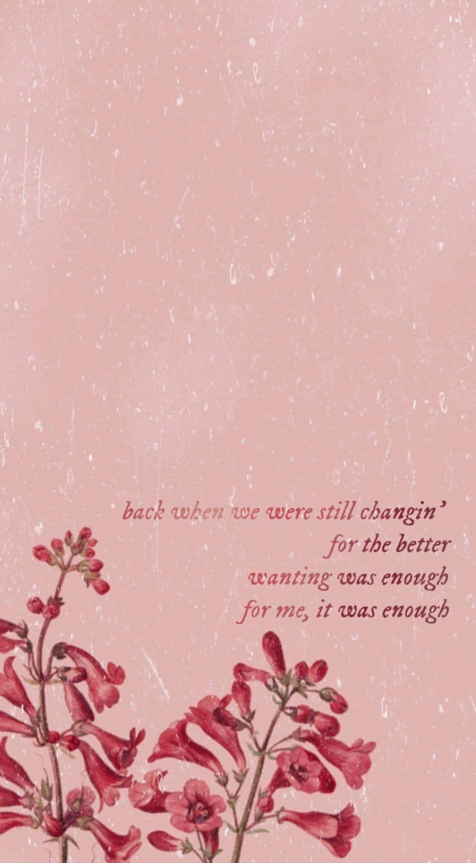 Taylor Swift Lyrics 桌布 壁紙 — 粉紅色紋理背景，帶有紅色花朵和懷舊手寫文字，關於想要就足夠了。