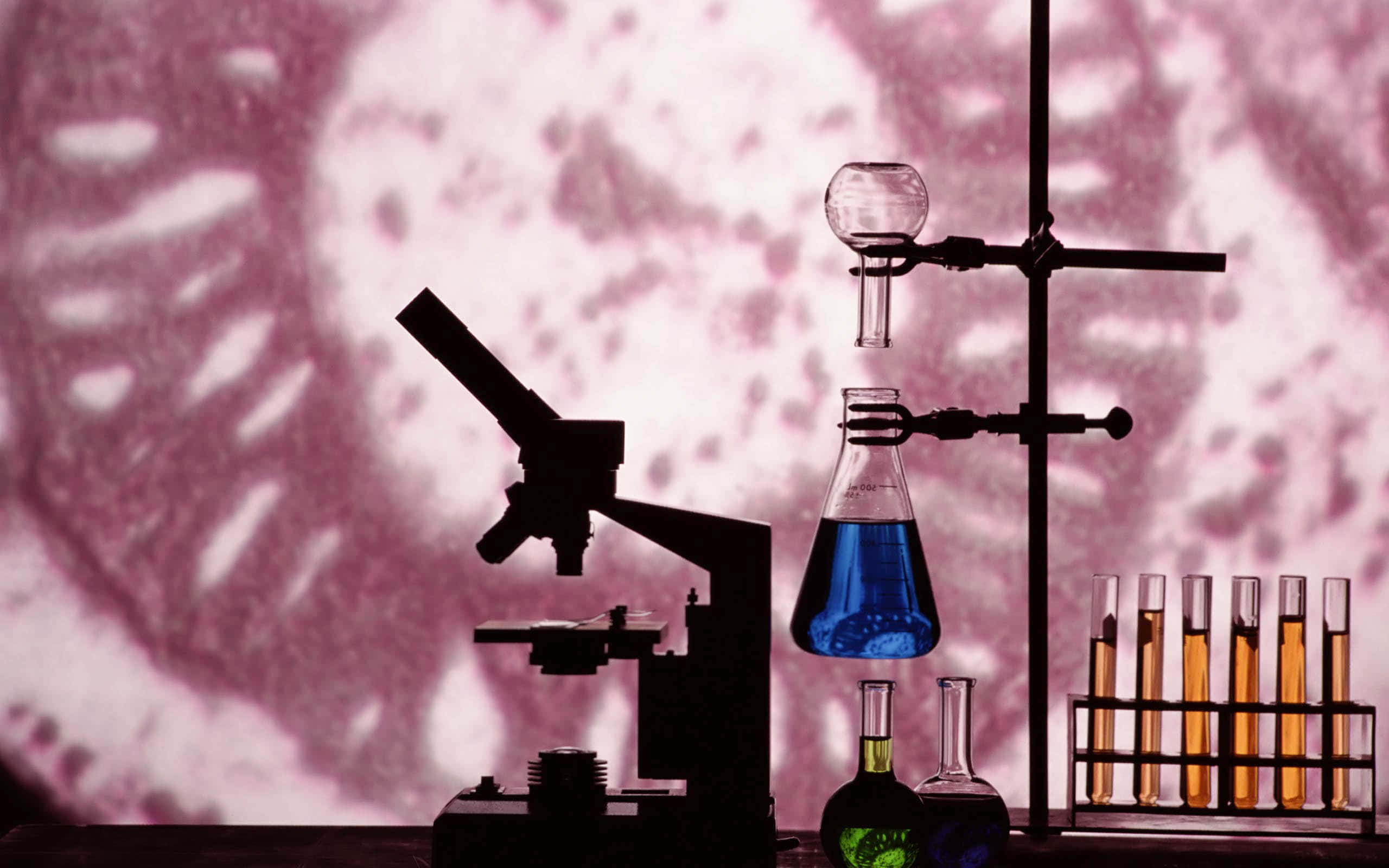 Laboratory 桌布 壁紙 — 粉紅色細胞背景上帶有藍色和琥珀色液體的剪影實驗室設備。