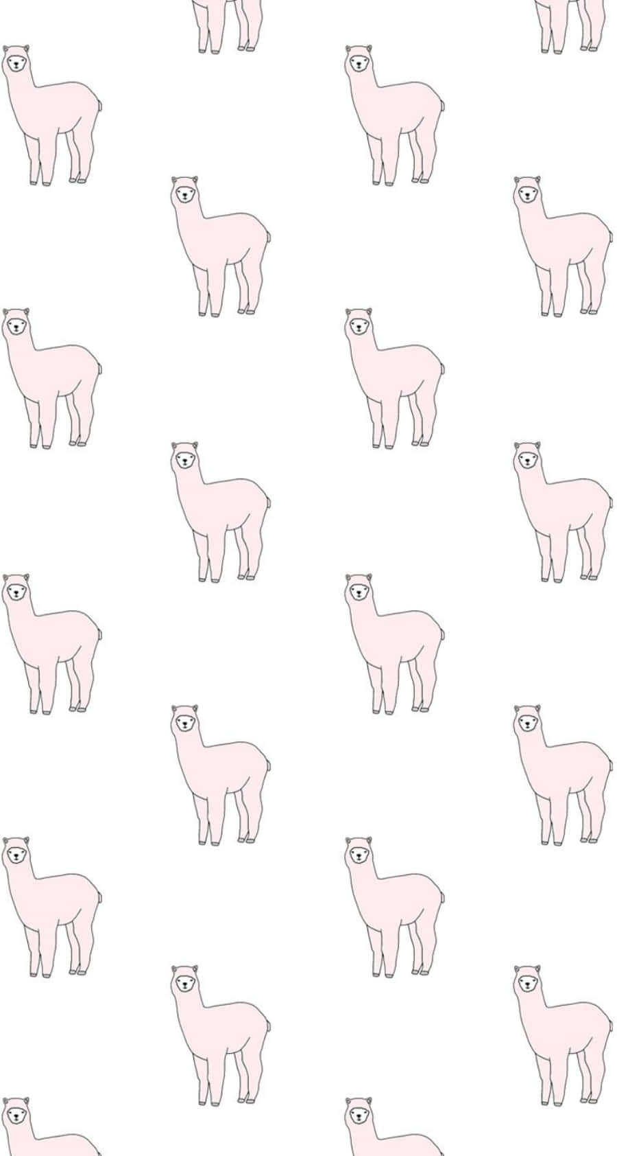 llama 桌布 壁紙 — 粉紅色羊駝配上灰色輪廓，在白色背景上重複形成整潔圖案。