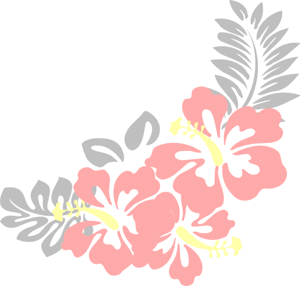 花 桌布 壁紙 — 粉紅色芙蓉花，黃色花心，灰色熱帶葉子，在白色背景上對角排列。