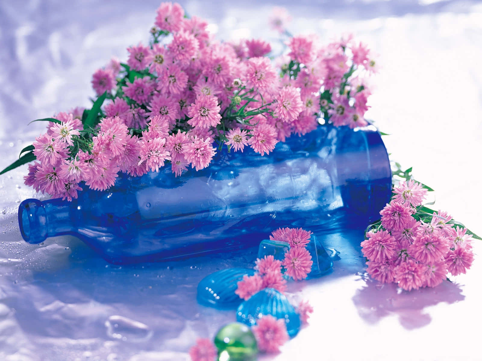 Lilac Color 桌布 壁紙 — 粉紅色花朵從一個藍色玻璃瓶中溢出，瓶子放在濕滑的冰面上，周圍散落著玻璃碎片。