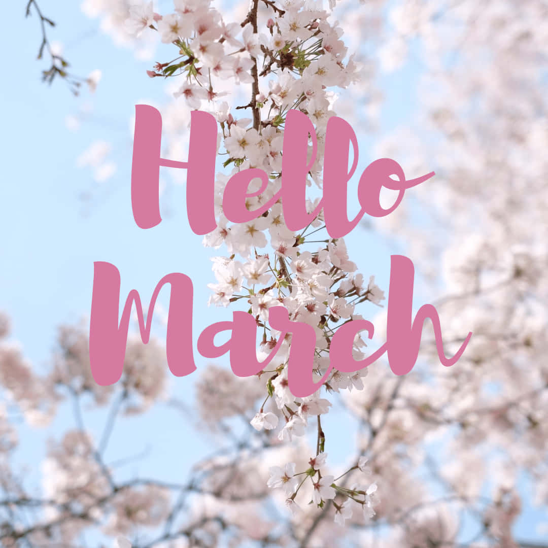 樹木 桌布 壁紙 — 粉紅色草書文字「Hello March」覆蓋在盛開的櫻花上，背景是柔和的藍天。