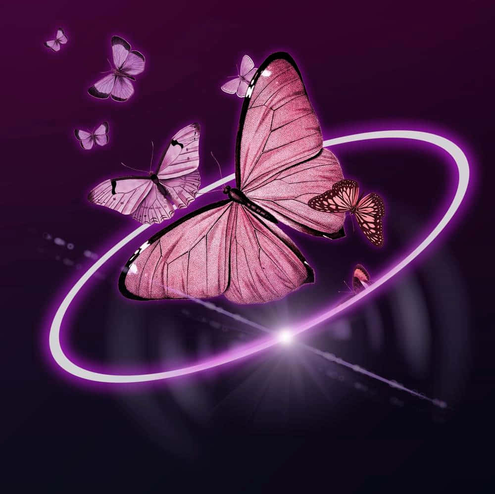 Butterfly Metamorphosis 桌布 壁紙 — 粉紅色蝴蝶圍繞一個發光的紫色環飛行，背景是黑暗的宇宙空間，帶有耀眼的光束。