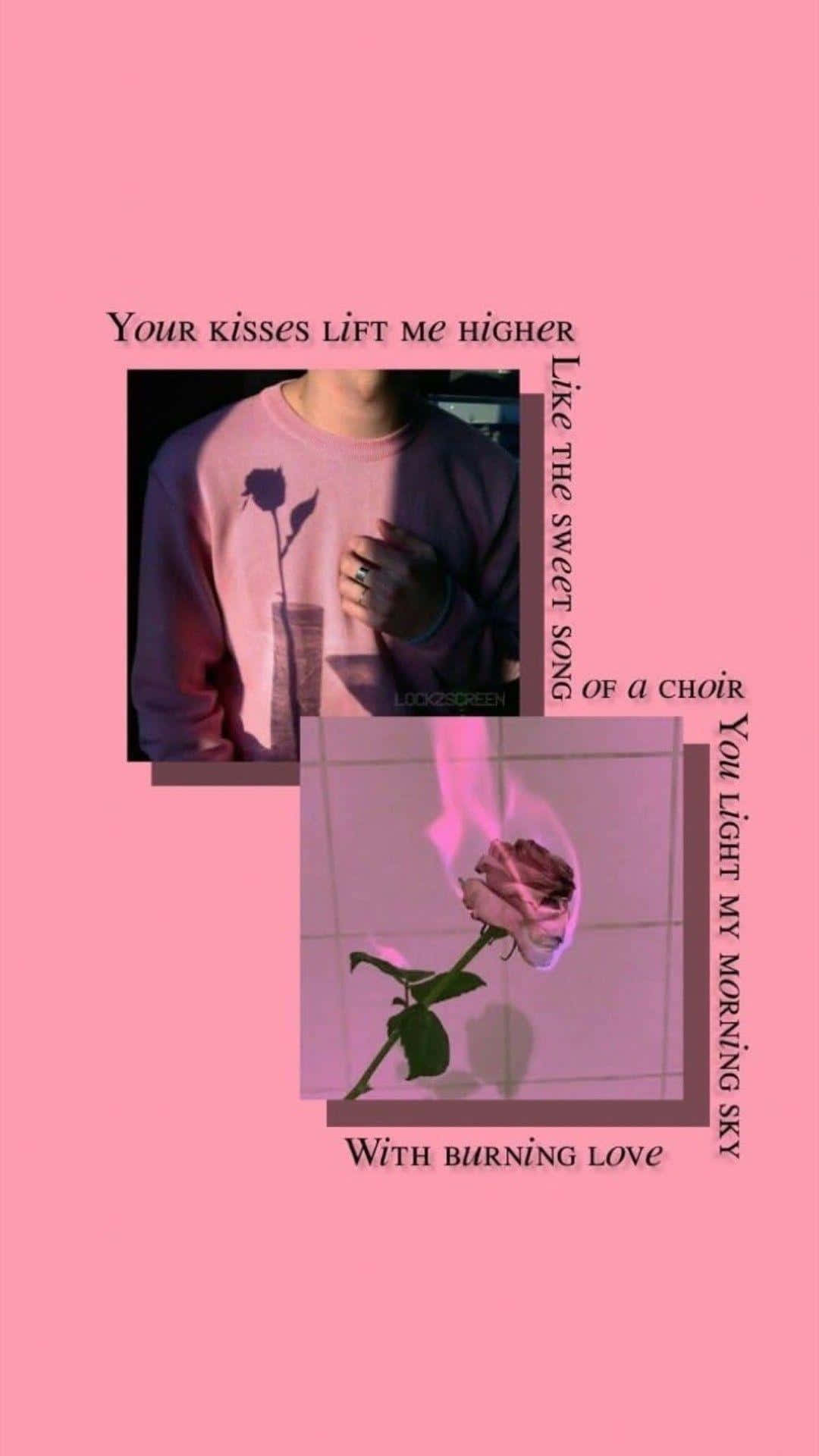 rose aesthetic phone 桌布 壁紙 — 粉紅色調的拼貼畫，展示穿著衛衣的人物和燃燒的玫瑰，並覆蓋浪漫的歌詞。
