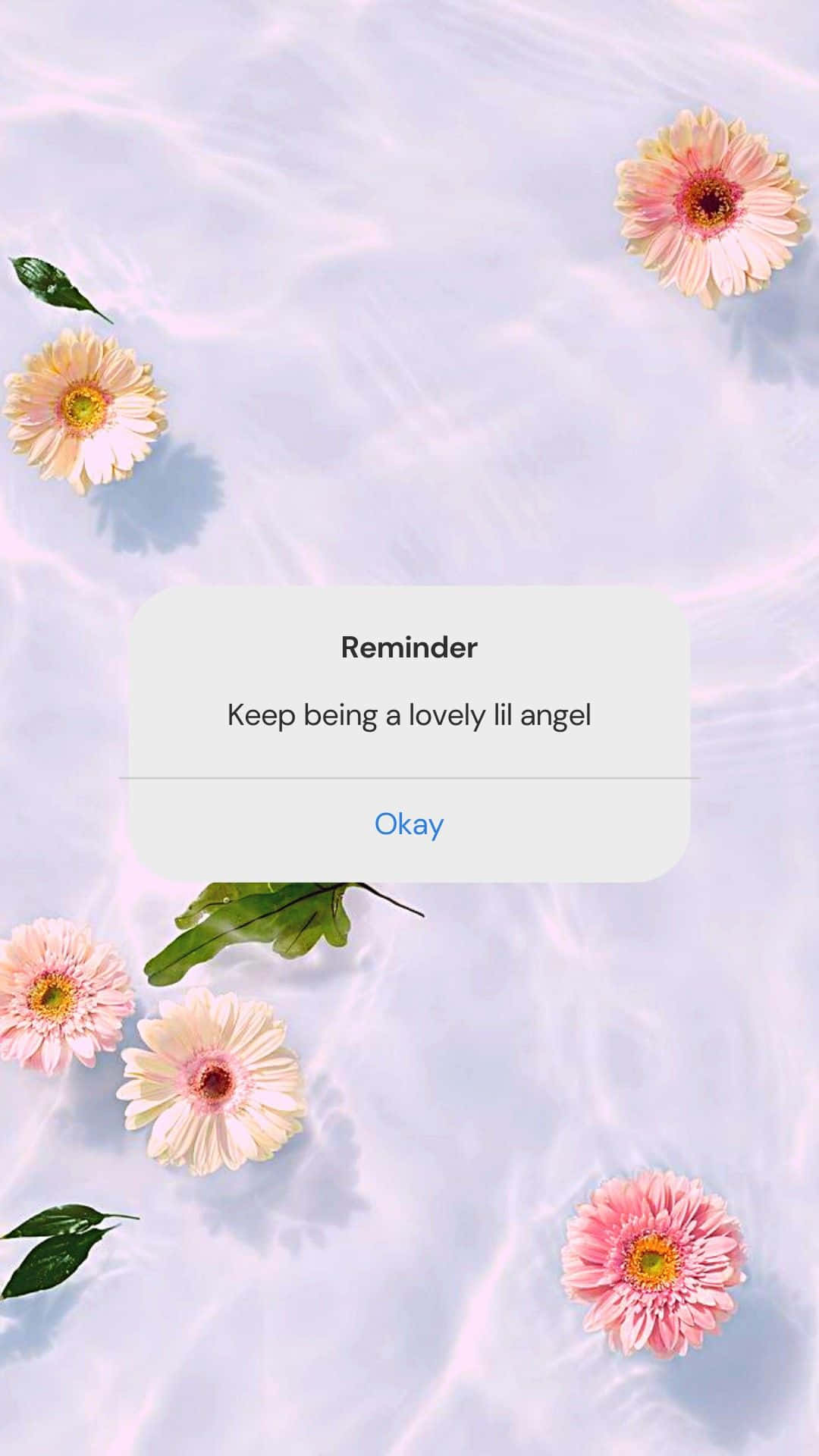 Aesthetic Reminder 桌布 壁紙 — 粉紅色非洲菊雛菊在漣漪的淺藍色水上寧靜地漂浮，帶有柔和提醒通知覆蓋層。