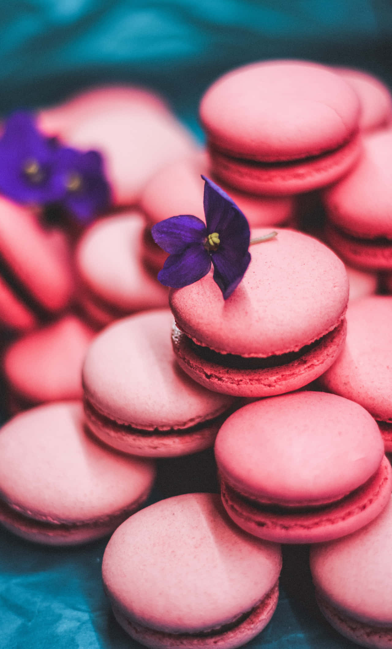 Macaron 桌布 壁紙 — 粉紅色馬卡龍堆疊，上面精緻地放置紫色花朵，背景為青綠色。