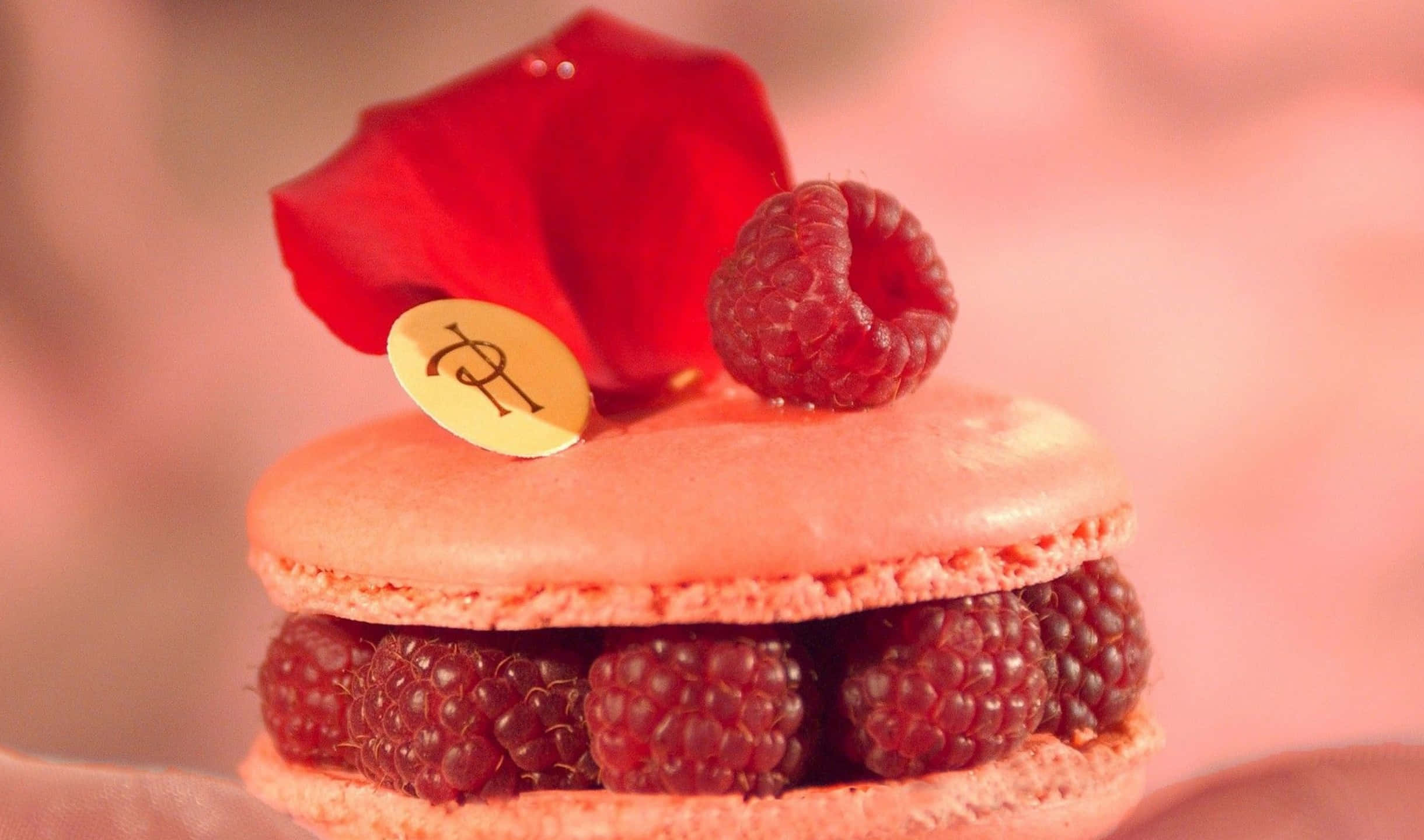 2440x1440 Desserts 桌布 壁紙 — 粉紅色馬卡龍的微距特寫，內餡為覆盆子，上面點綴著紅色玫瑰花瓣和金色標籤。