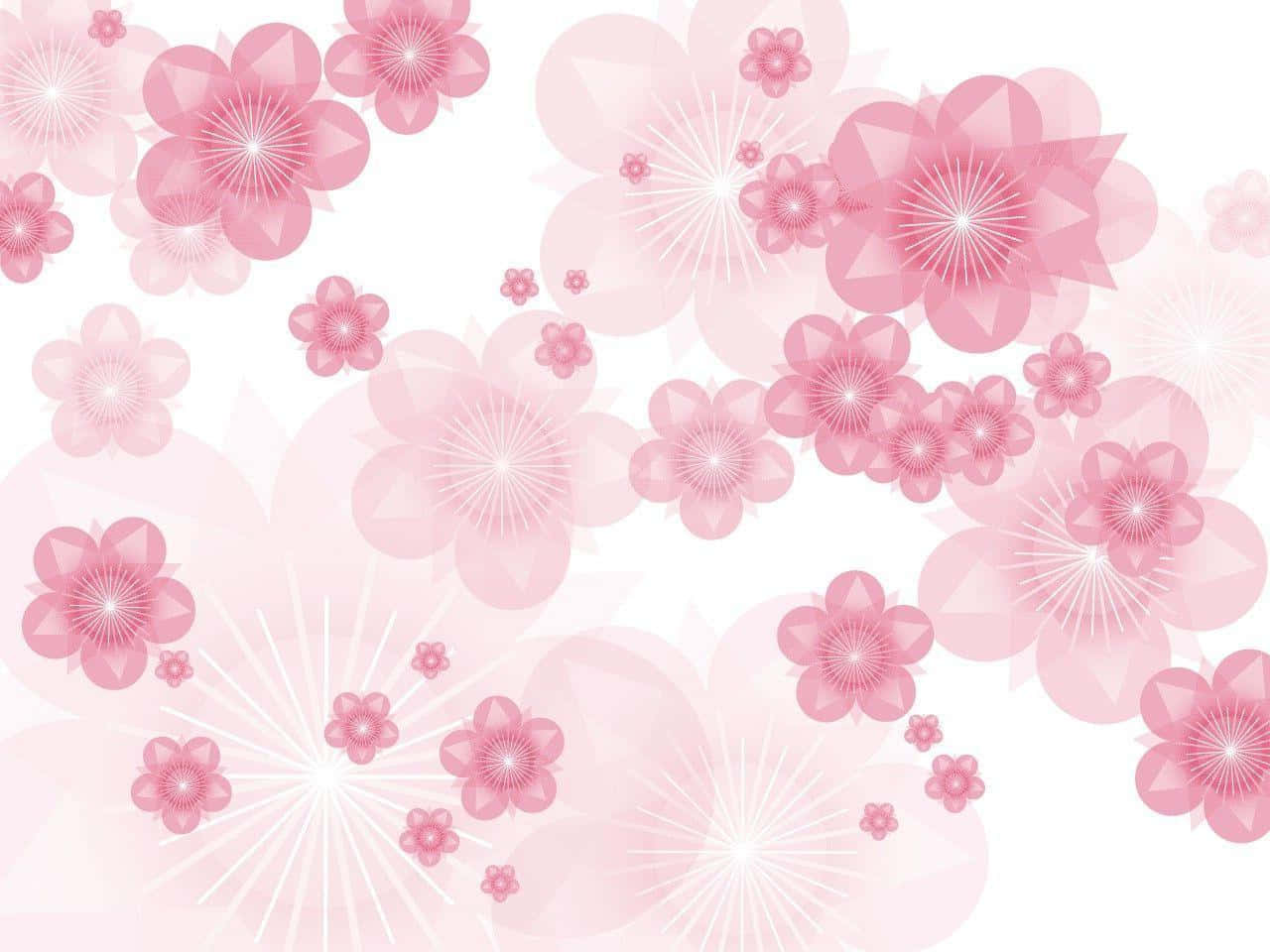 粉紅花朵背景搭配白色花朵 壁紙