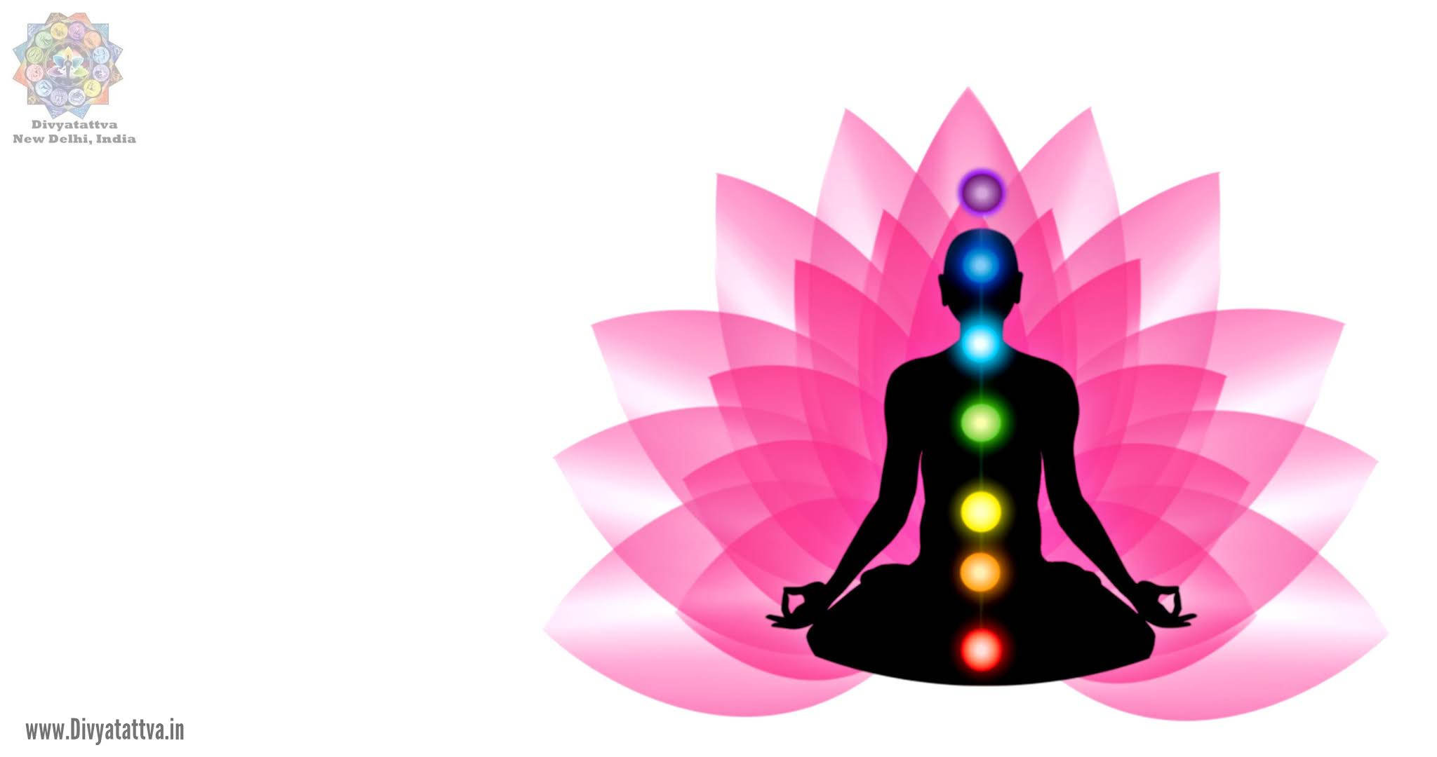 chakra 桌布 壁紙 — 粉紅蓮花背景上，一個冥想者的剪影，帶有發光的脈輪。