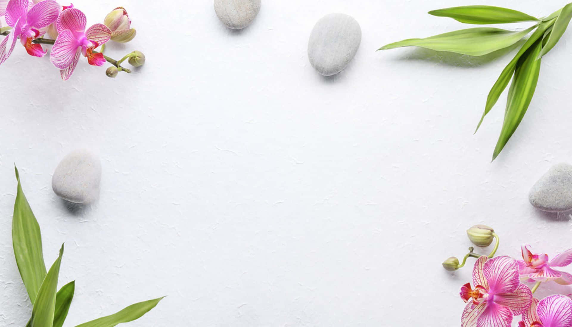 禪 桌布 壁紙 — 粉紅蘭花、綠葉和光滑的灰色石頭，以平靜的極簡構圖排列在有紋理的白色表面上。