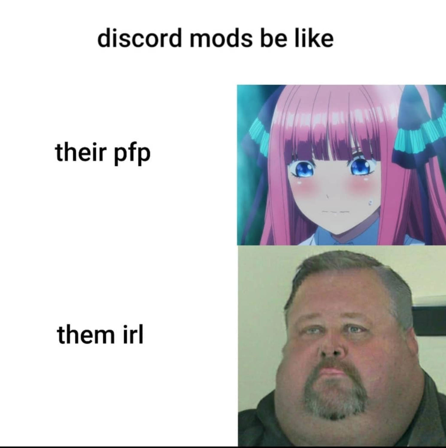Discord 桌布 壁紙 — 粉紅頭髮藍眼睛的動漫女孩與Discord迷因中的男人照片形成對比。