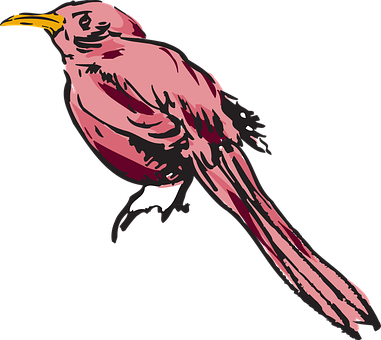 粉紅鳥插畫 壁紙