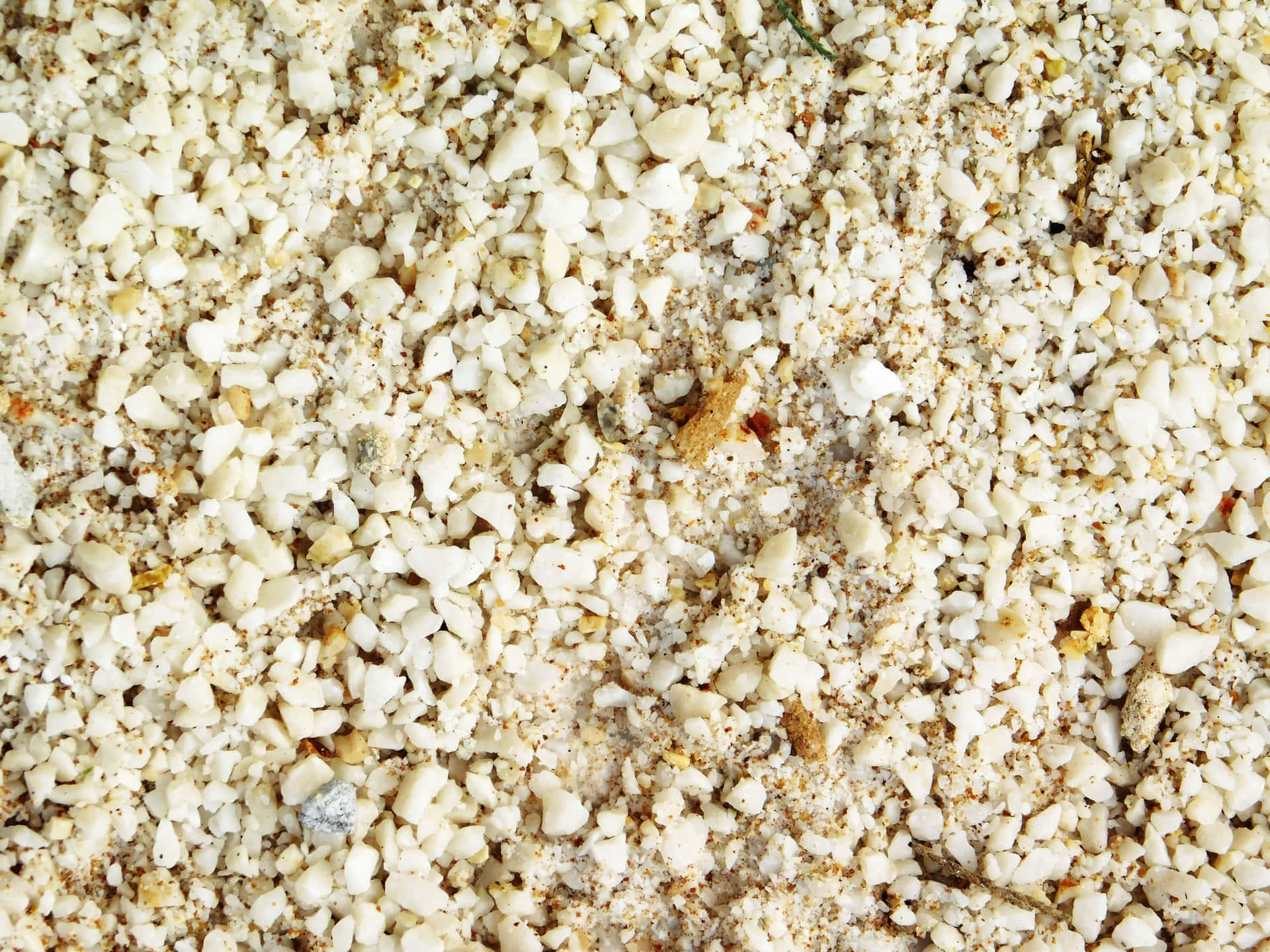 Sand and stones 壁紙 — 粗白礫石混合細沙及散落的小棕色碎片的特寫。