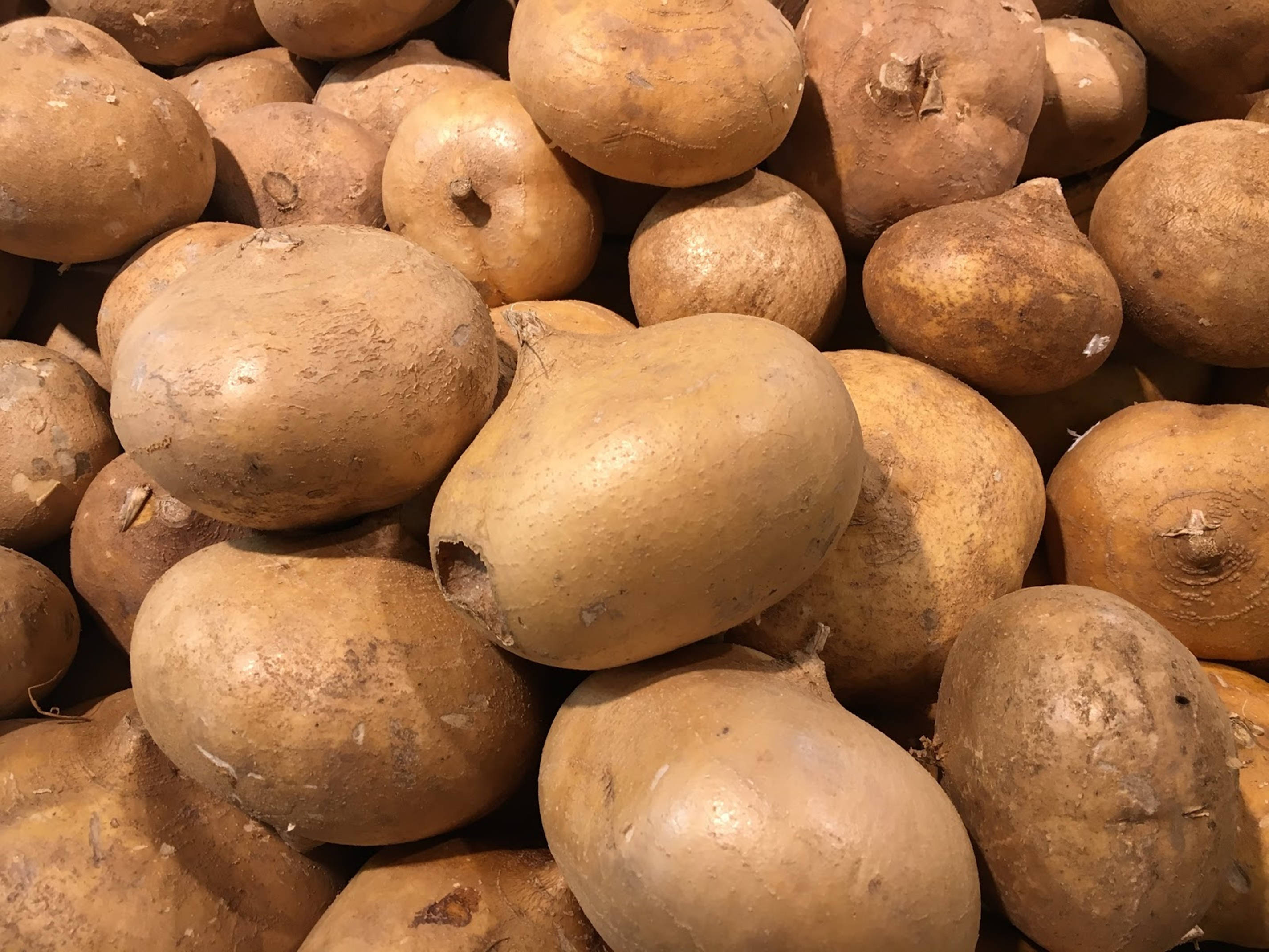 Vegetables 桌布 壁紙 — 粗糙外皮的棕色馬鈴薯堆疊在一起的近距離特寫，展現自然瑕疵和大地色調。