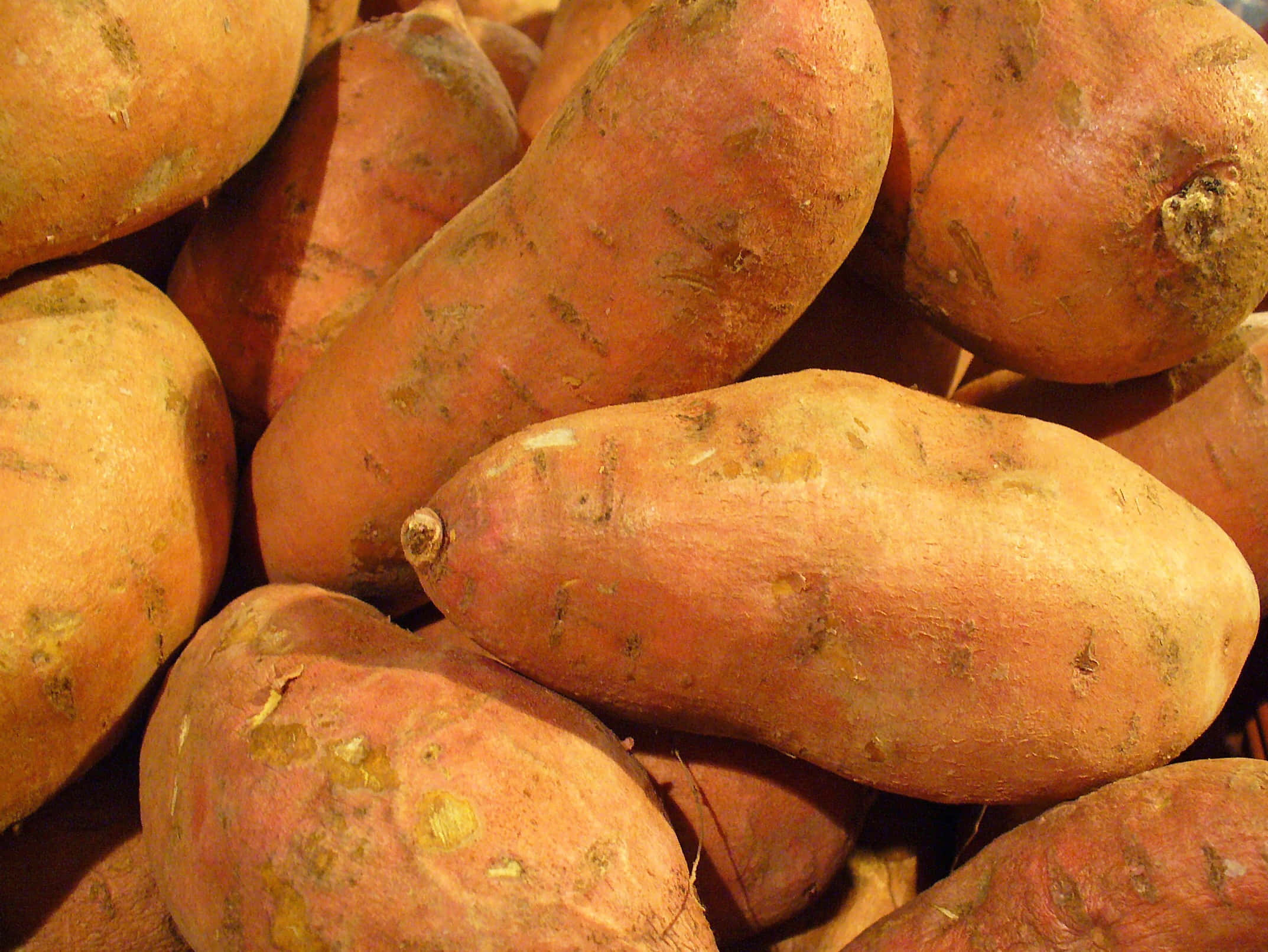 Potato 桌布 壁紙 — 粗糙外皮的番薯在溫暖燈光下堆疊在一起的特寫。