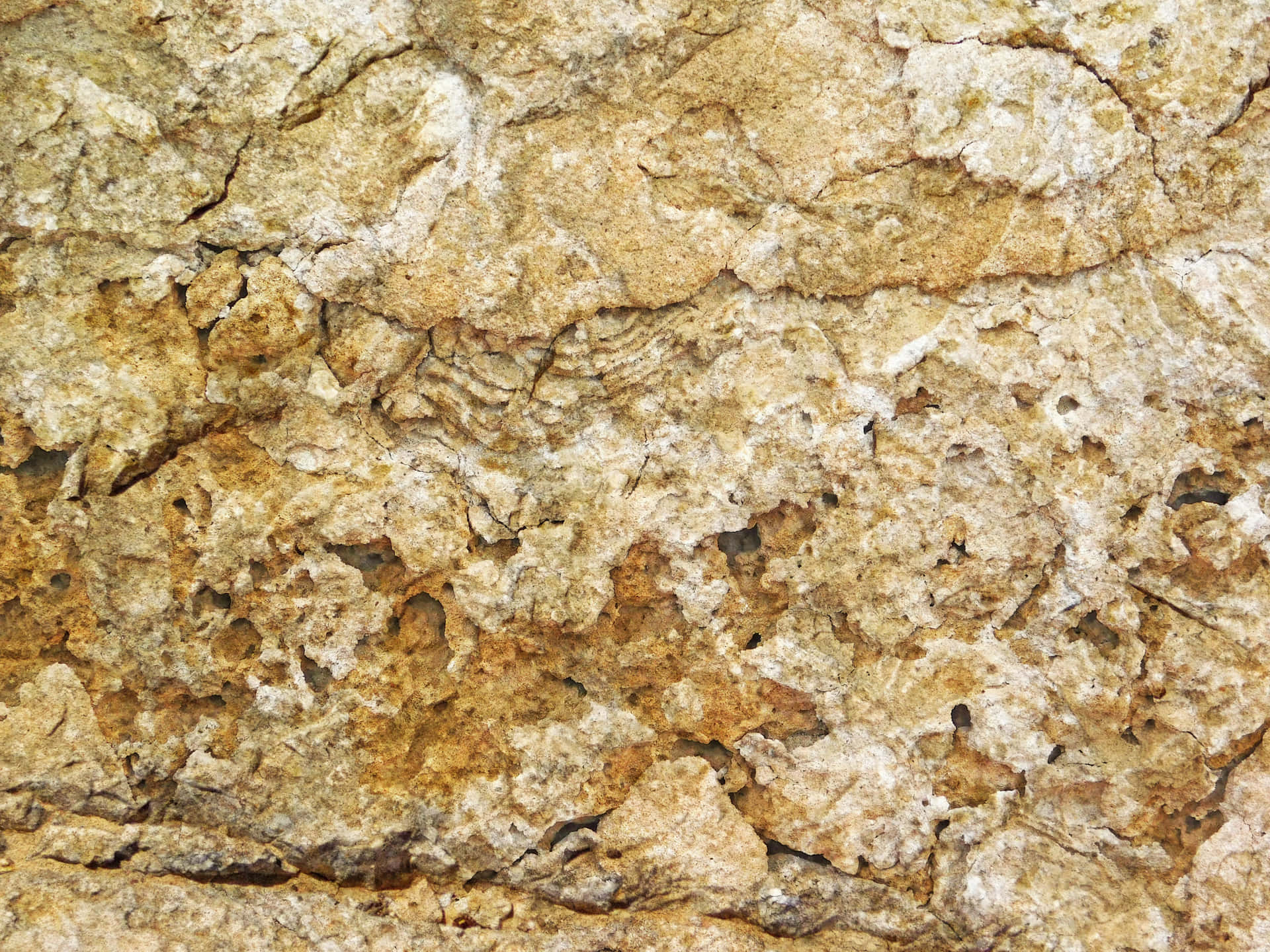 Stone texture 壁紙 — 粗糙紋理岩石表面的特寫，帶有米色、白色和棕色的層狀礦物沉積。