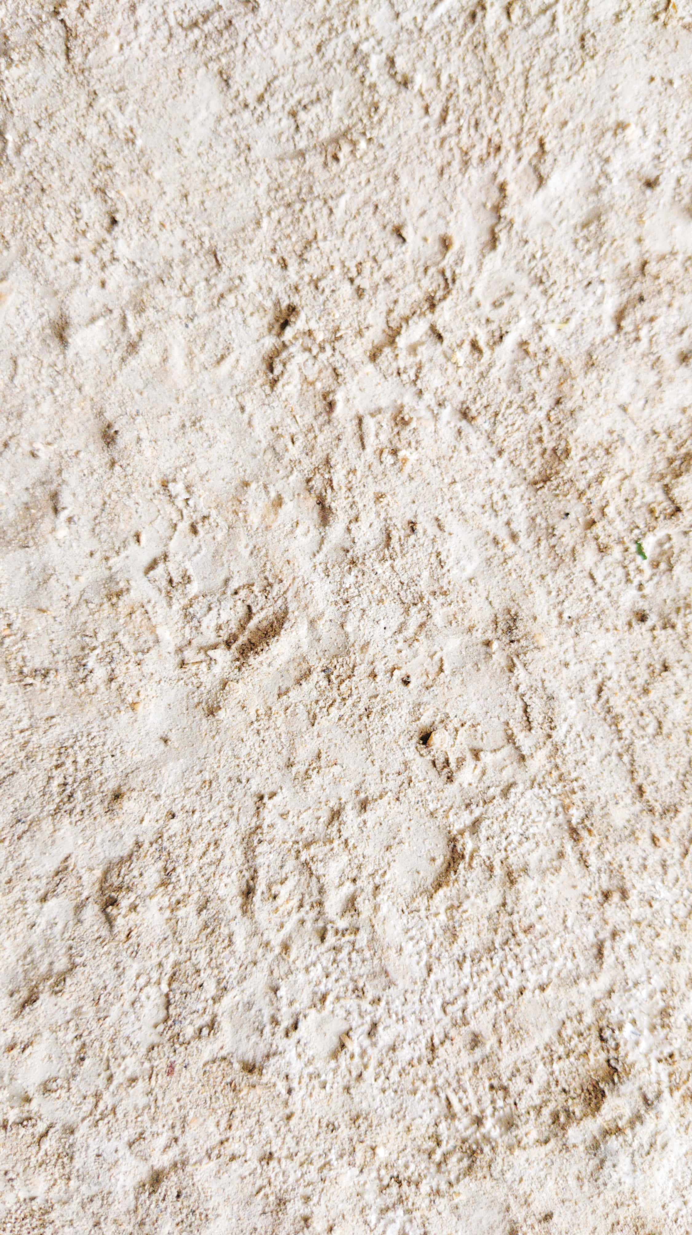 Stone 桌布 壁紙 — 粗糙紋理的米色砂岩牆壁特寫，帶有天然紋理和微妙的顏色變化。
