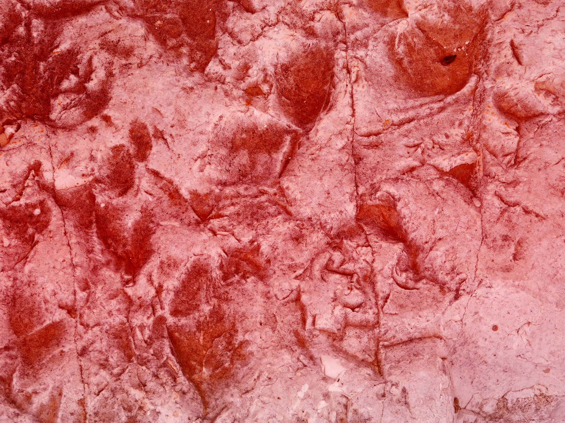 Red stone texture 壁紙 — 粗糙紋理的紅色岩石表面近距離特寫，有深裂縫和層狀礦物圖案。