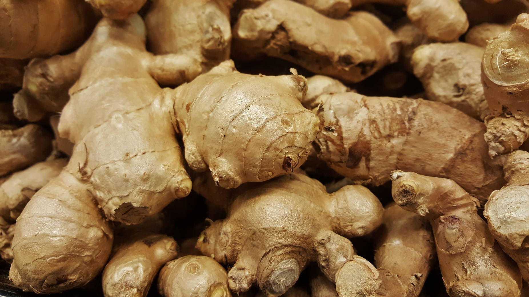 Ginger 桌布 壁紙 — 粗糙質感的生薑根部以溫暖大地色調堆疊在一起的近距離特寫。