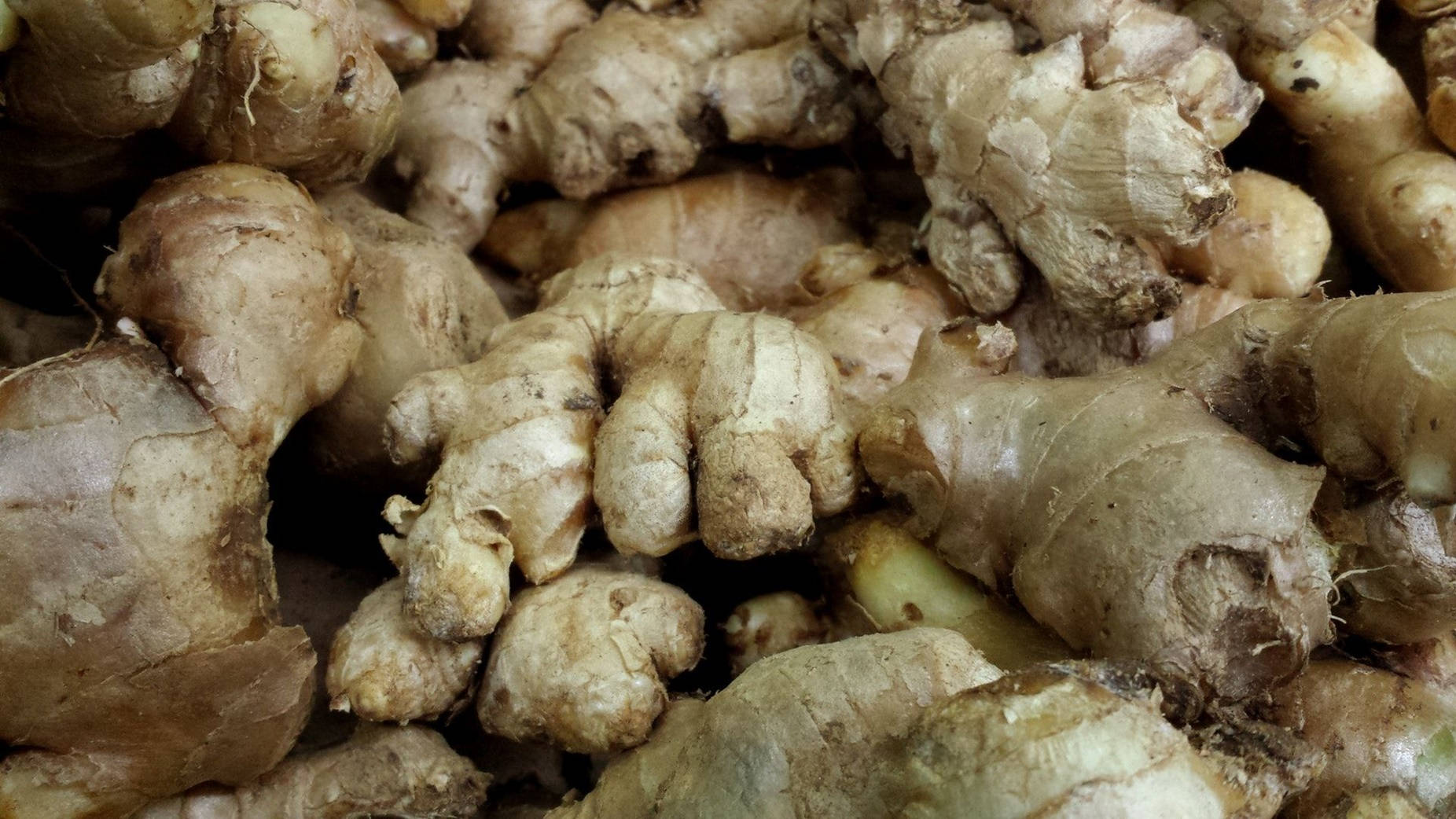 Ginger 桌布 壁紙 — 粗糙質感的生薑根部堆疊在一起的特寫，展現大地色調和自然瑕疵。
