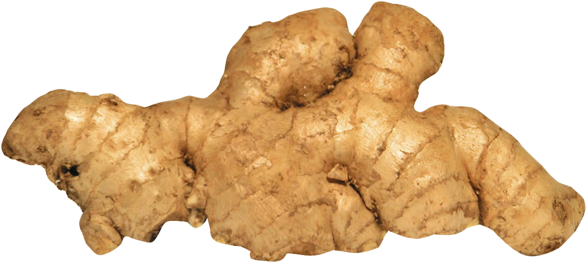Ginger 桌布 壁紙 — 粗糙質感的生薑根部特寫，帶有大地色調的米色，襯托在純黑背景上。