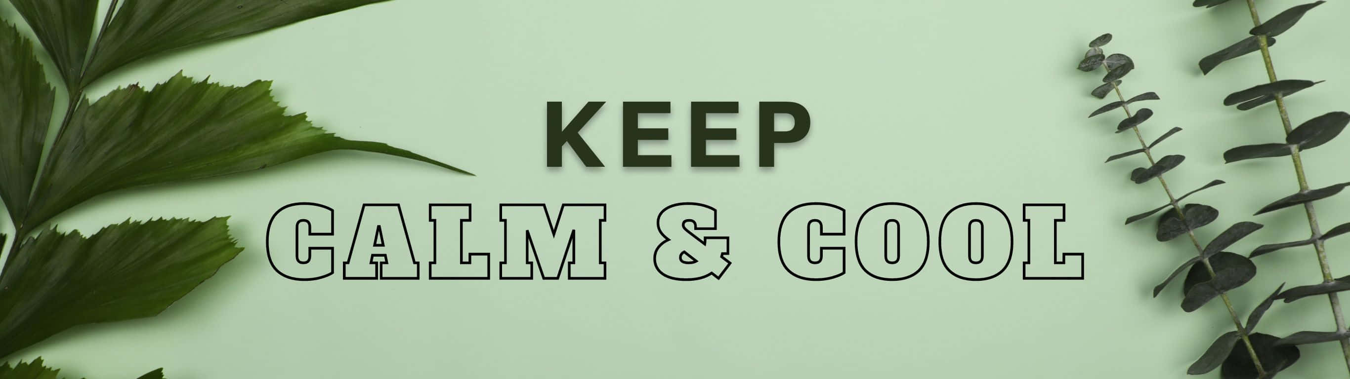 2732x768 桌布 壁紙 — 粗體文字 'KEEP CALM & COOL' 居中顯示在薄荷綠色背景上，並以深綠色熱帶葉片環繞。
