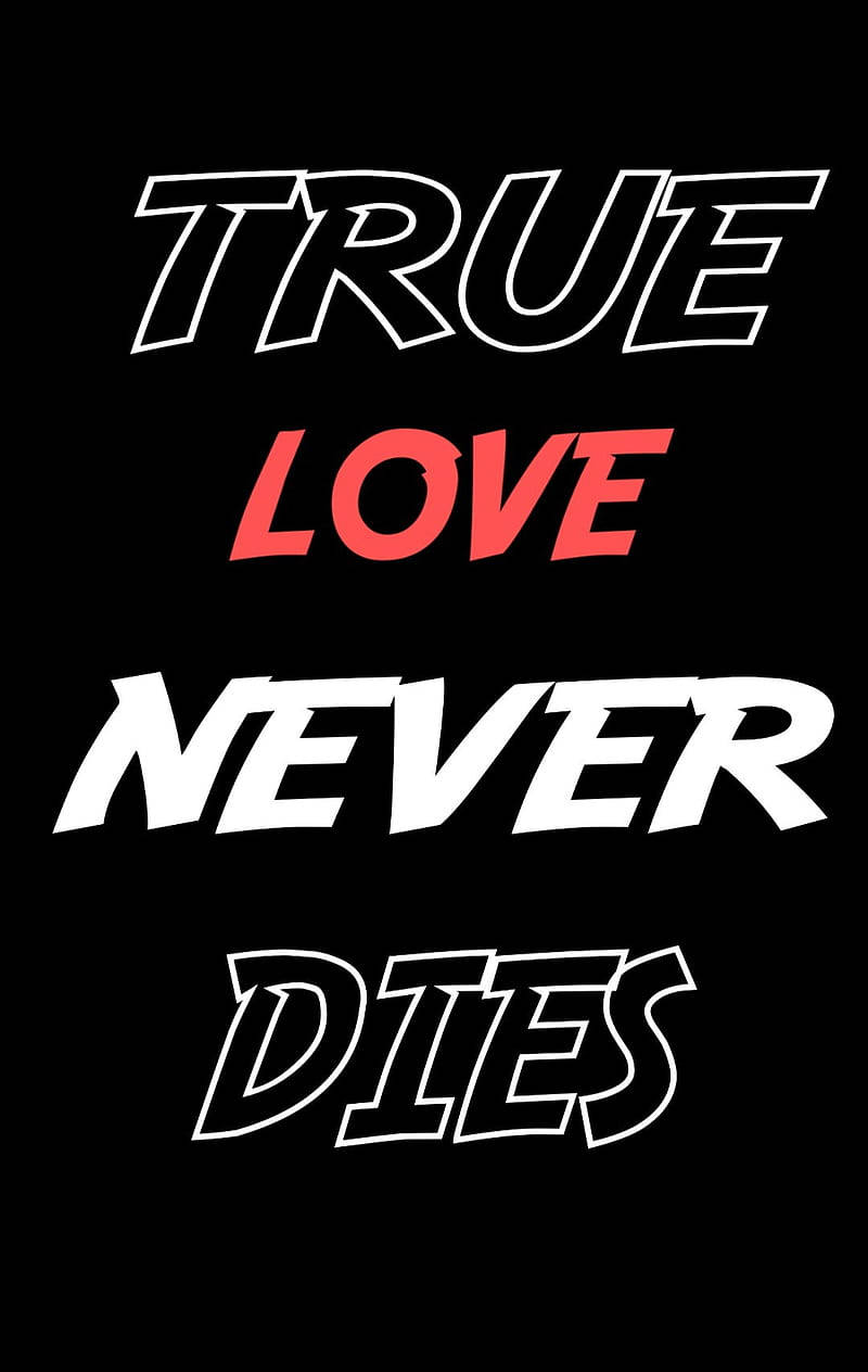 愛情語錄 桌布 壁紙 — 粗體文字在純黑背景上以白色和紅色宣告「TRUE LOVE NEVER DIES」。