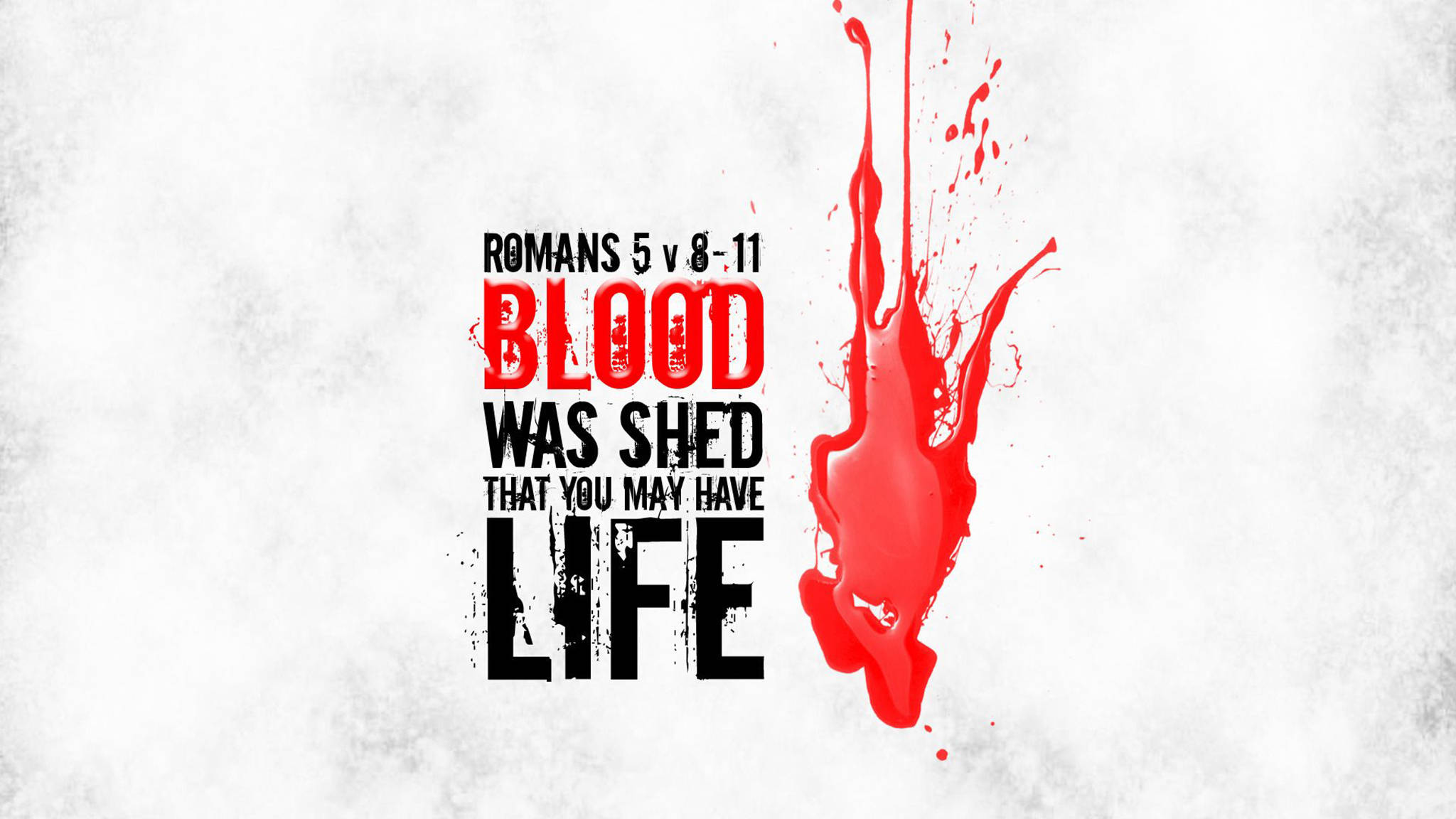 聖經金句 桌布 壁紙 — 粗體文字宣告 'BLOOD WAS SHED THAT YOU MAY HAVE LIFE' 旁邊有鮮紅色的血濺圖案在紋理白色背景上。