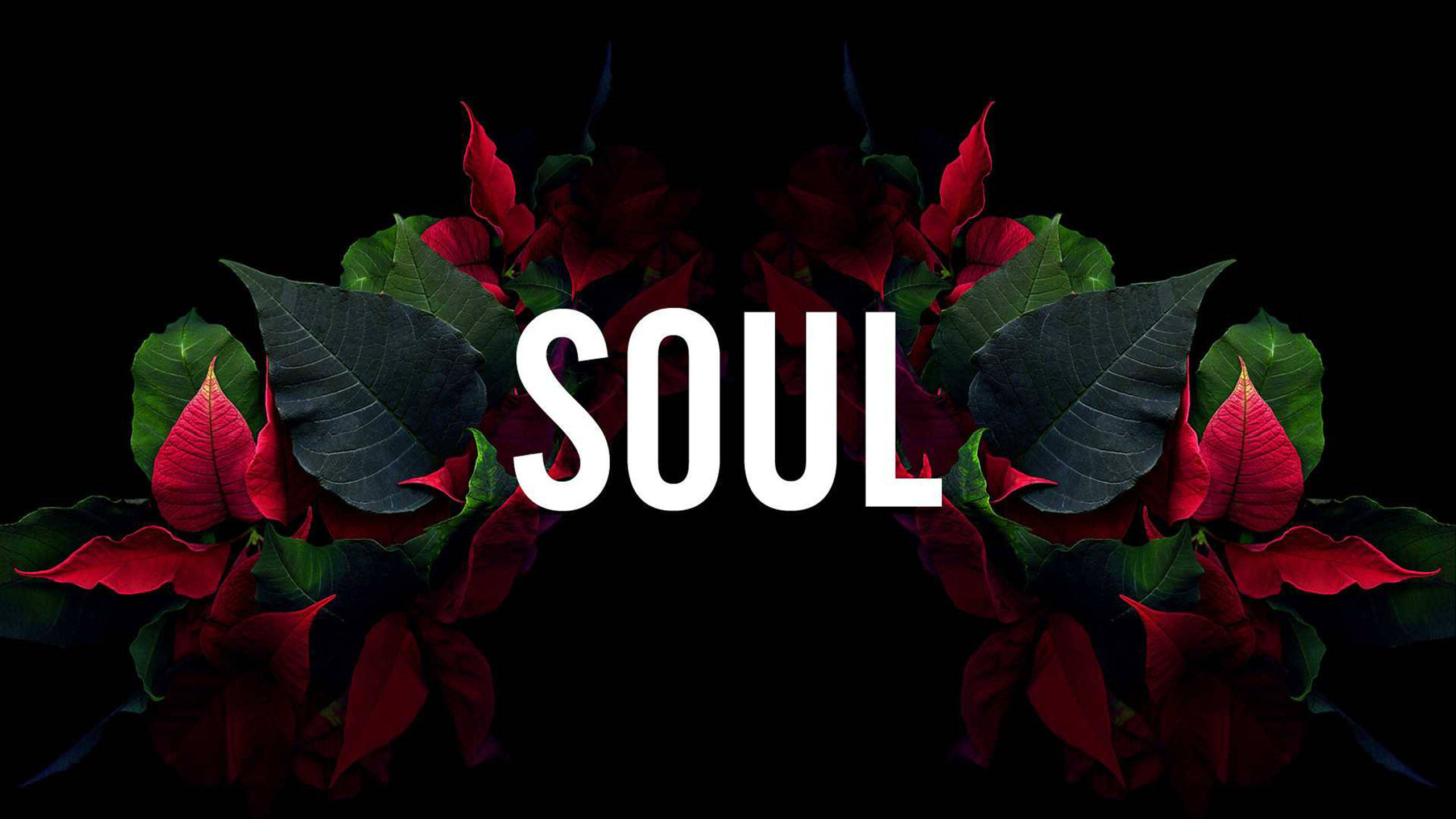 超炫動圖 桌布 壁紙 — 粗體白色 'SOUL' 文字居中於鮮紅色聖誕紅花朵和深綠色葉子上方，背景為黑色。