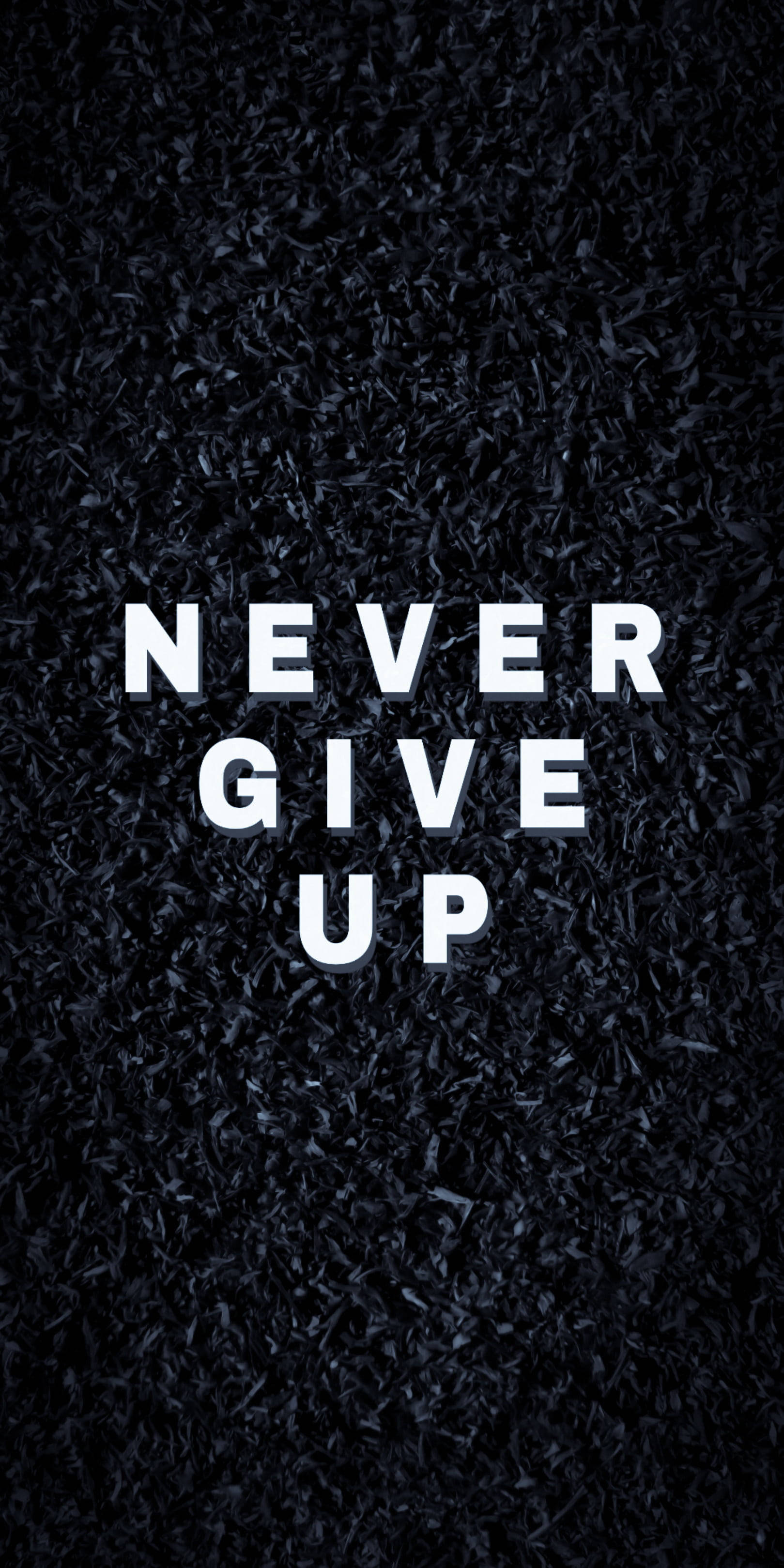 語錄 桌布 壁紙 — 粗體白色文字「never give up」在深色紋理黑色背景上突出顯示。