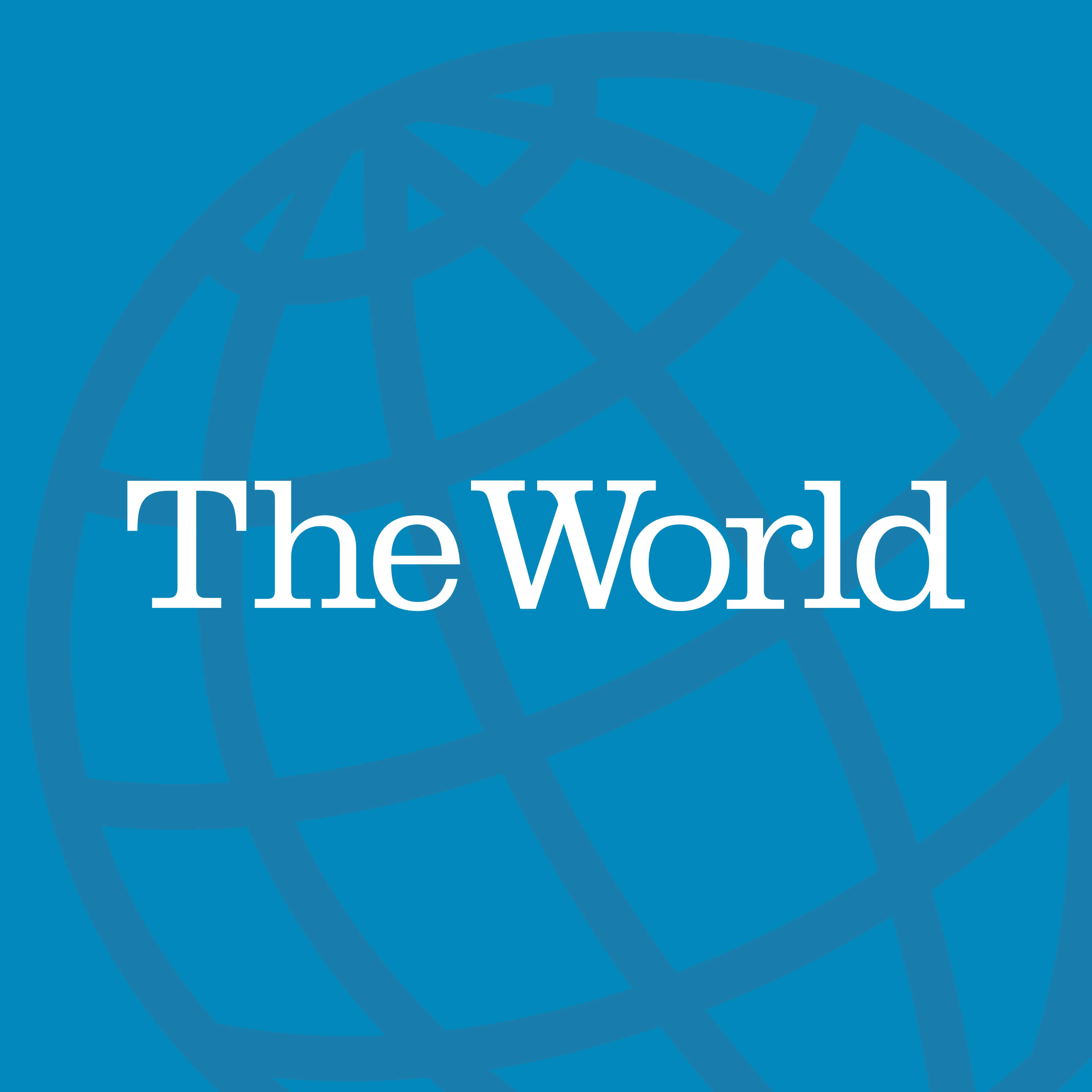 World 桌布 壁紙 — 粗體白色文字在藍色地球網格背景上寫著「The World」。