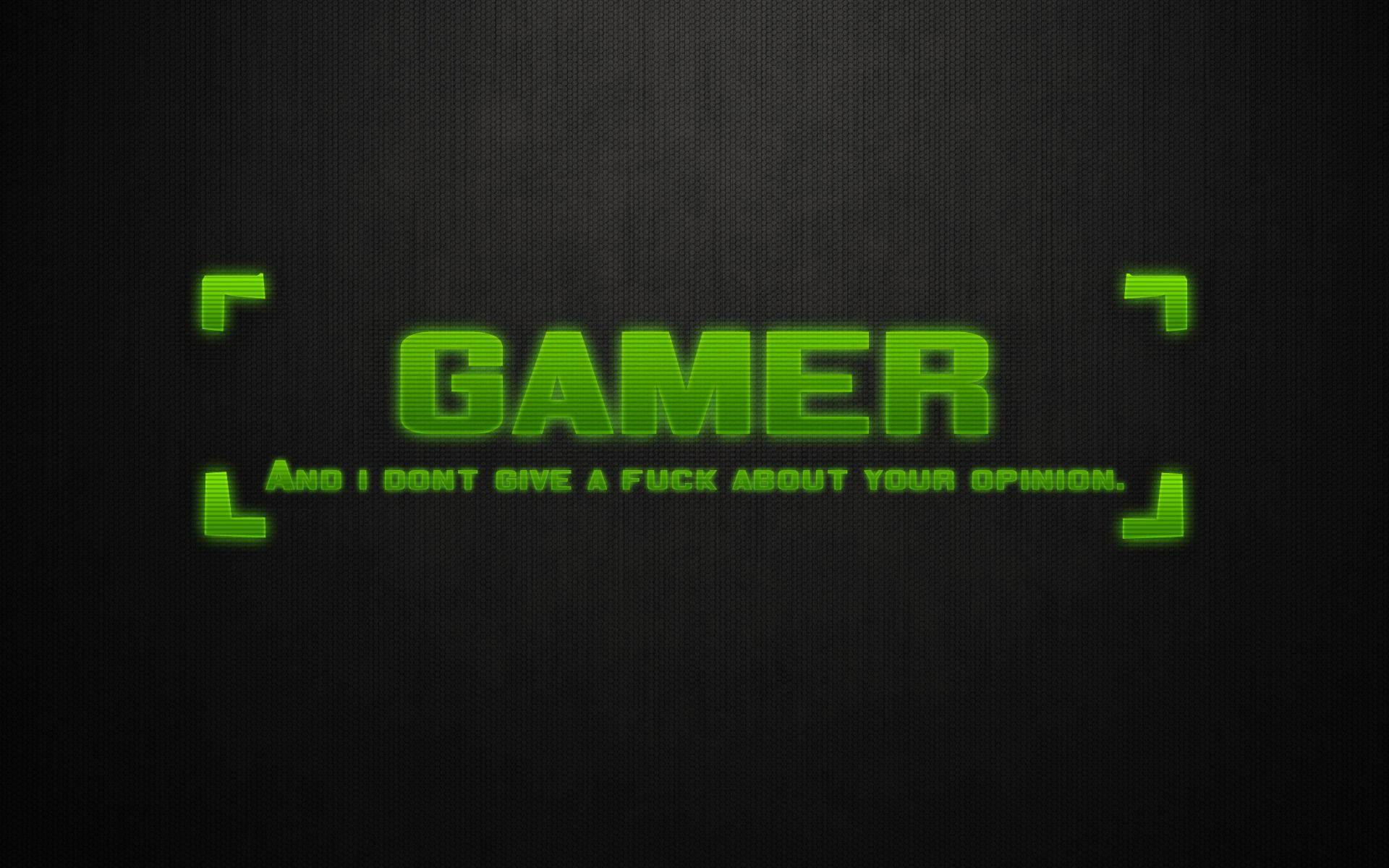 Cool Gaming 桌布 壁紙 — 粗體綠色發光文字在深色紋理背景上顯示「GAMER」和「AND I DONT GIVE A FUCK ABOUT YOUR OPINION」。