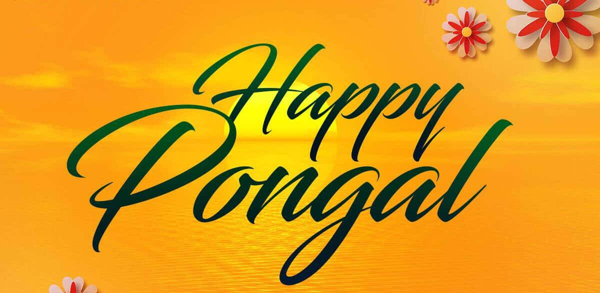 Pongal 桌布 壁紙 — 粗體綠色草書文字寫著 Happy Pongal，背景是溫暖的金色日落天空，搭配剪紙紅白花朵。