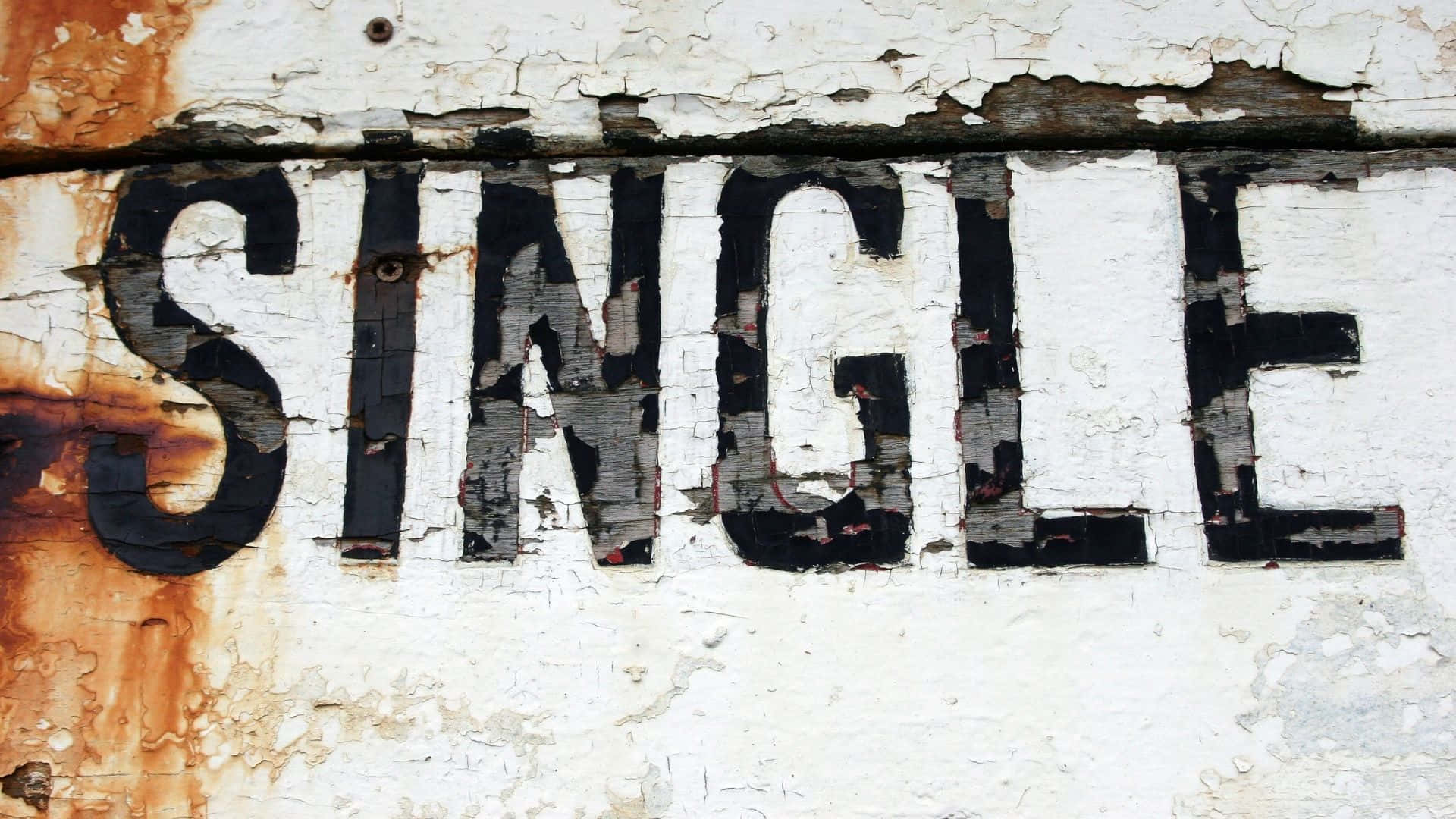 Single 桌布 壁紙 — 粗體黑色字母的「SINGLE」一詞從一個帶有鏽跡和剝落油漆的風化白色表面上剝落。