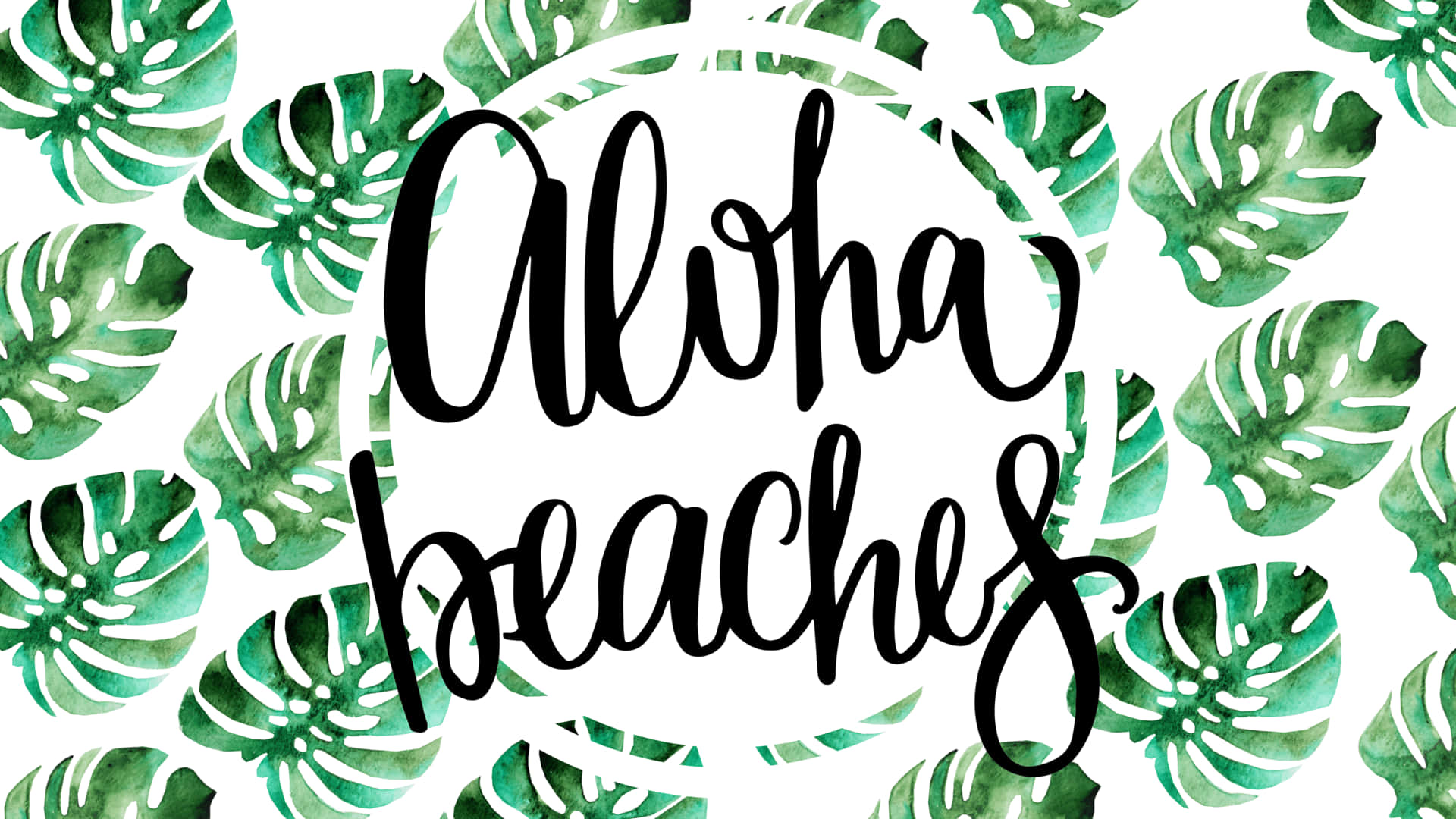 夏天 桌布 壁紙 — 粗體黑色字體寫著「Aloha beaches」，白色背景上點綴著水彩綠色龜背竹葉。