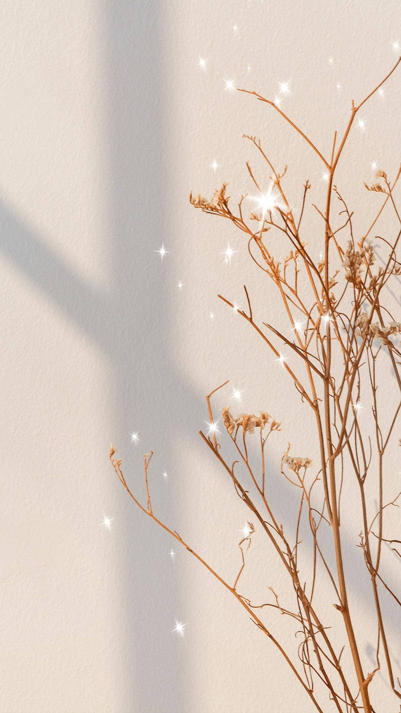 Spring iPhone 桌布 壁紙 — 精緻的乾燥樹枝搭配閃爍的光影效果，在淺米色牆壁上投下柔和陰影。
