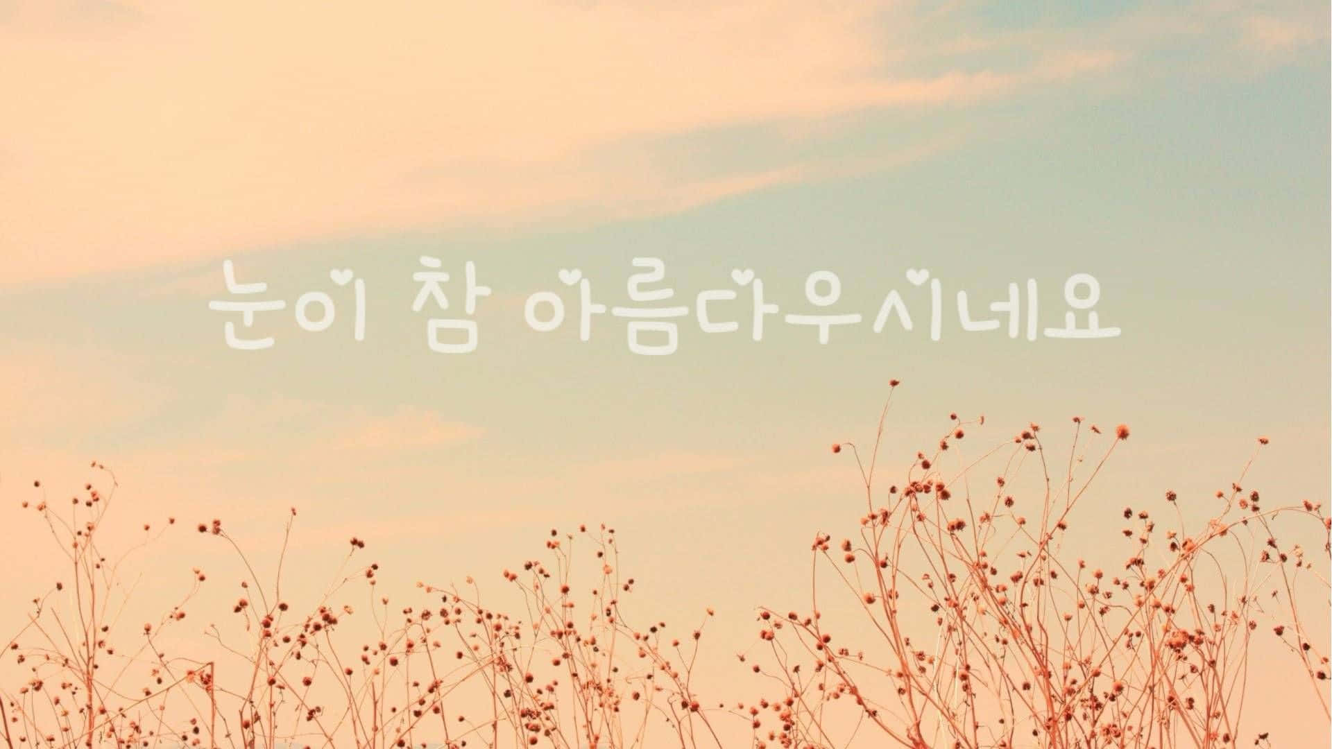 korean 桌布 壁紙 — 精緻的乾草在柔和粉彩天空下搖曳，並覆蓋韓文文字。