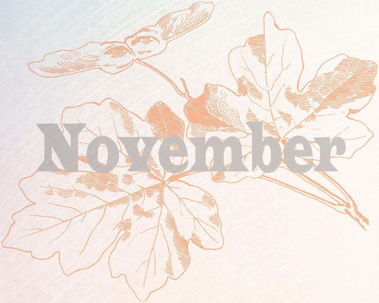 Cute November 桌布 壁紙 — 精緻的橙色線條藝術楓葉和楓樹種子葉片漂浮在柔軟紋理的奶油色背景上，並疊加November字樣。