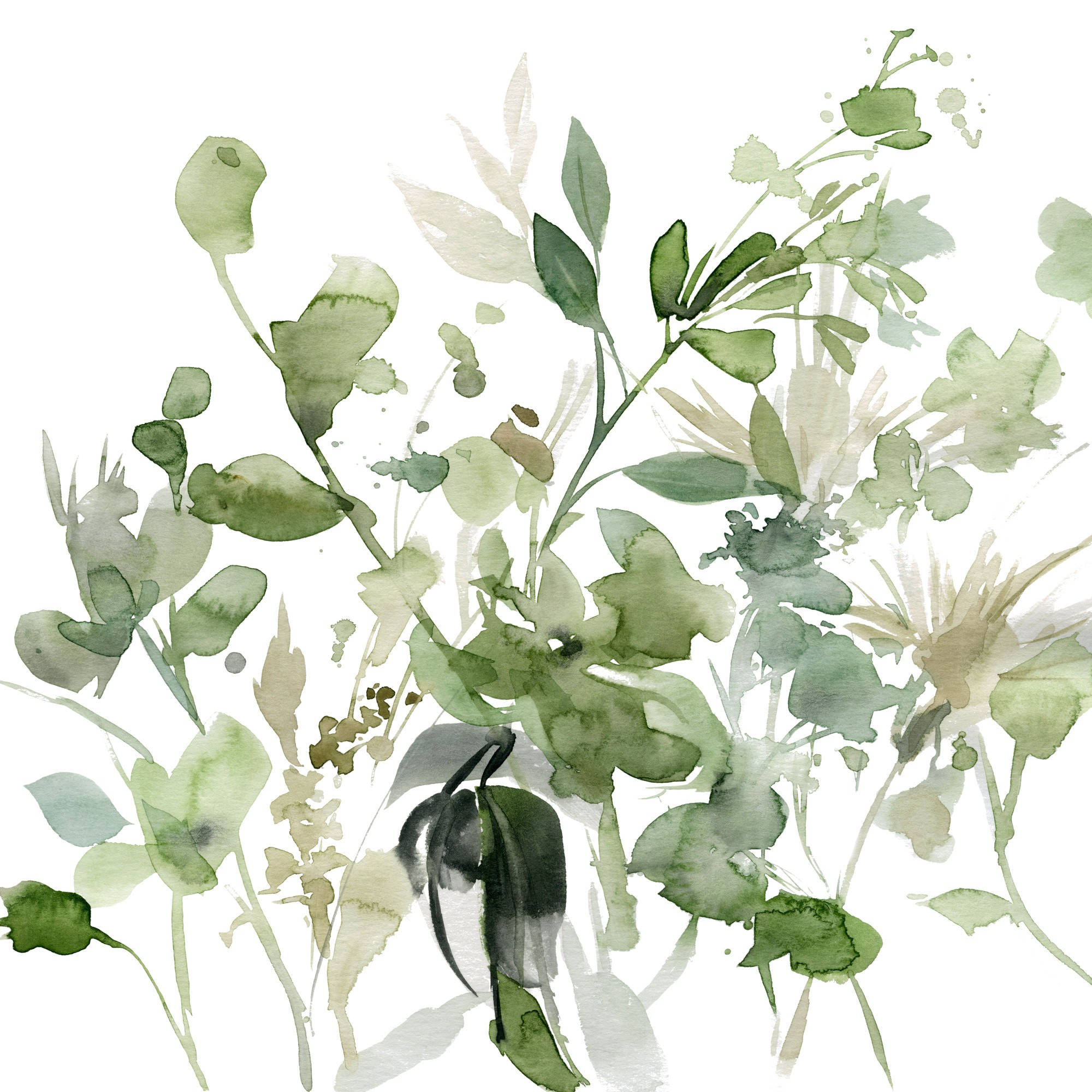 Sage 桌布 壁紙 — 精緻的水彩植物圖案，柔軟的綠色葉子和莖在乾淨的白色背景上。