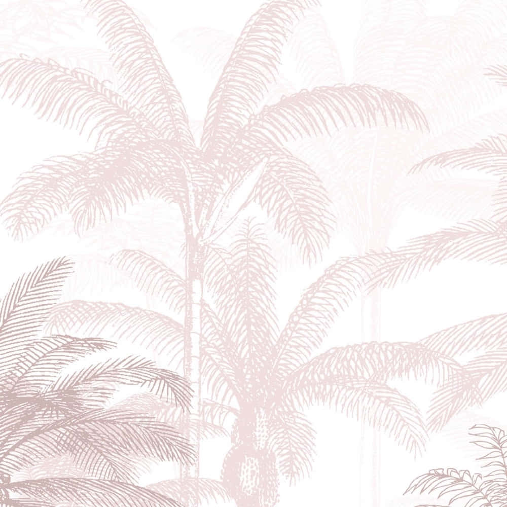 Palm 桌布 壁紙 — 精緻的淡粉紅色棕櫚樹剪影在柔和的白色背景上優雅地重複，形成微妙的壁紙圖案。