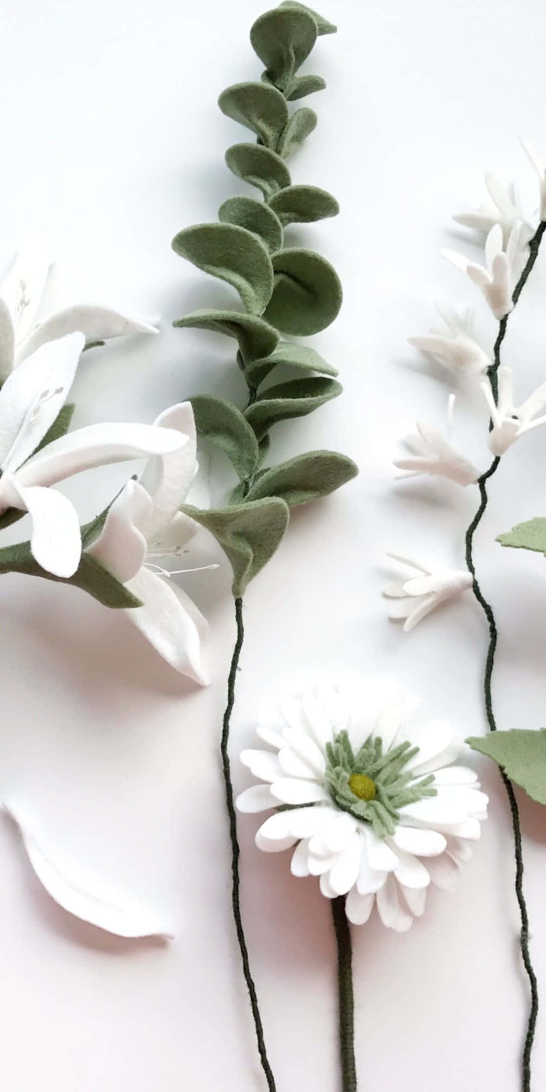 White Flowers 桌布 壁紙 — 精緻的白色絨花和綠色莖幹以極簡平鋪方式排列在柔和的粉紅色背景上。
