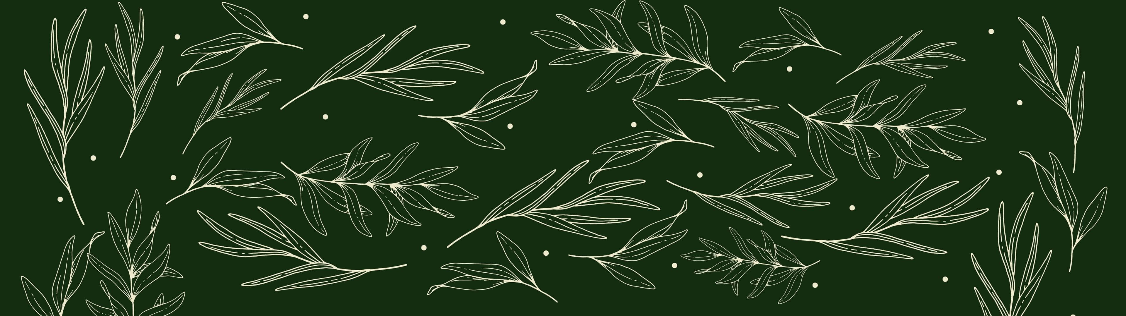 3840x1080 桌布 壁紙 — 精緻的白色線條繪製的橄欖枝在深森林綠色背景上優雅飄浮，背景點綴著細小的白色斑點。