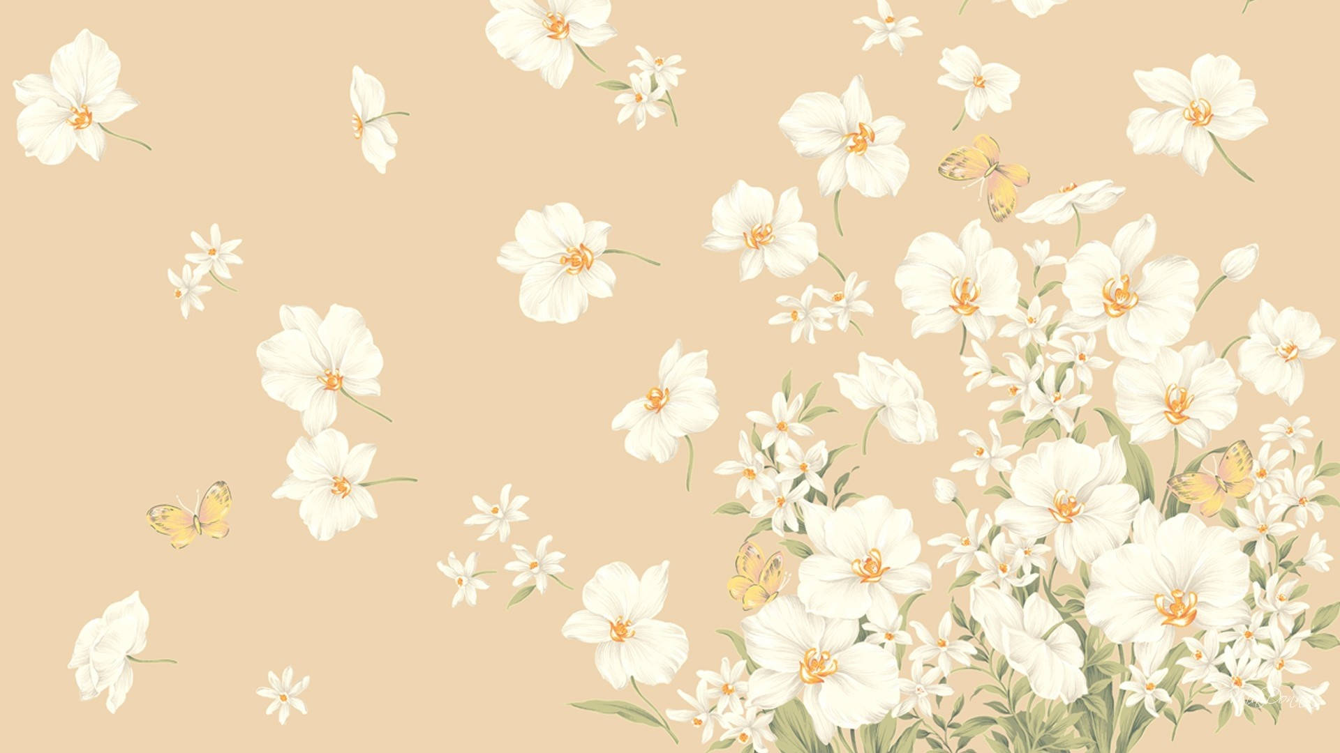 Flowers 桌布 壁紙 — 精緻的白色花朵和飄動的黃色蝴蝶在柔和的米色背景上優雅地散落盛開。