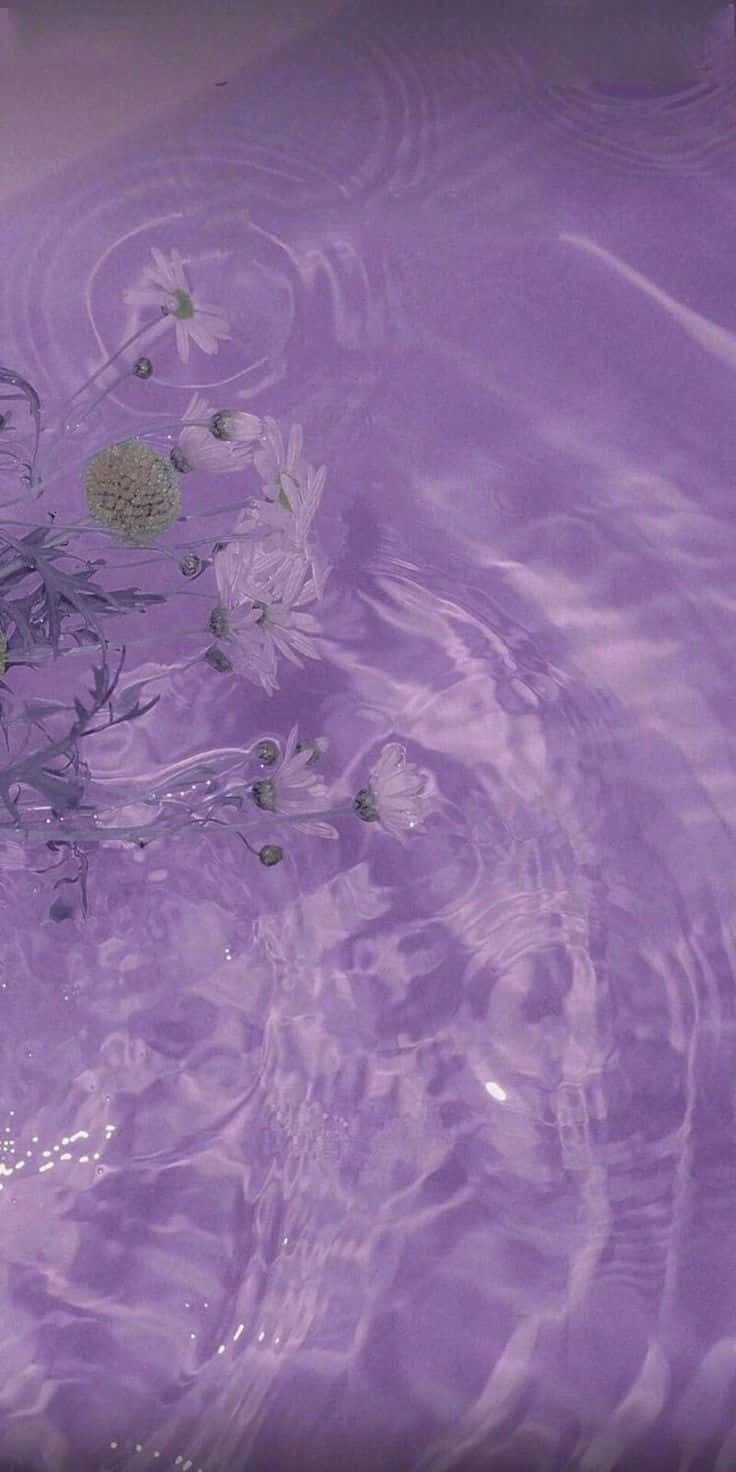 Aesthetic Purple 桌布 壁紙 — 精緻的白色花朵漂浮在漣漪的紫色水面上，營造出夢幻寧靜的場景。