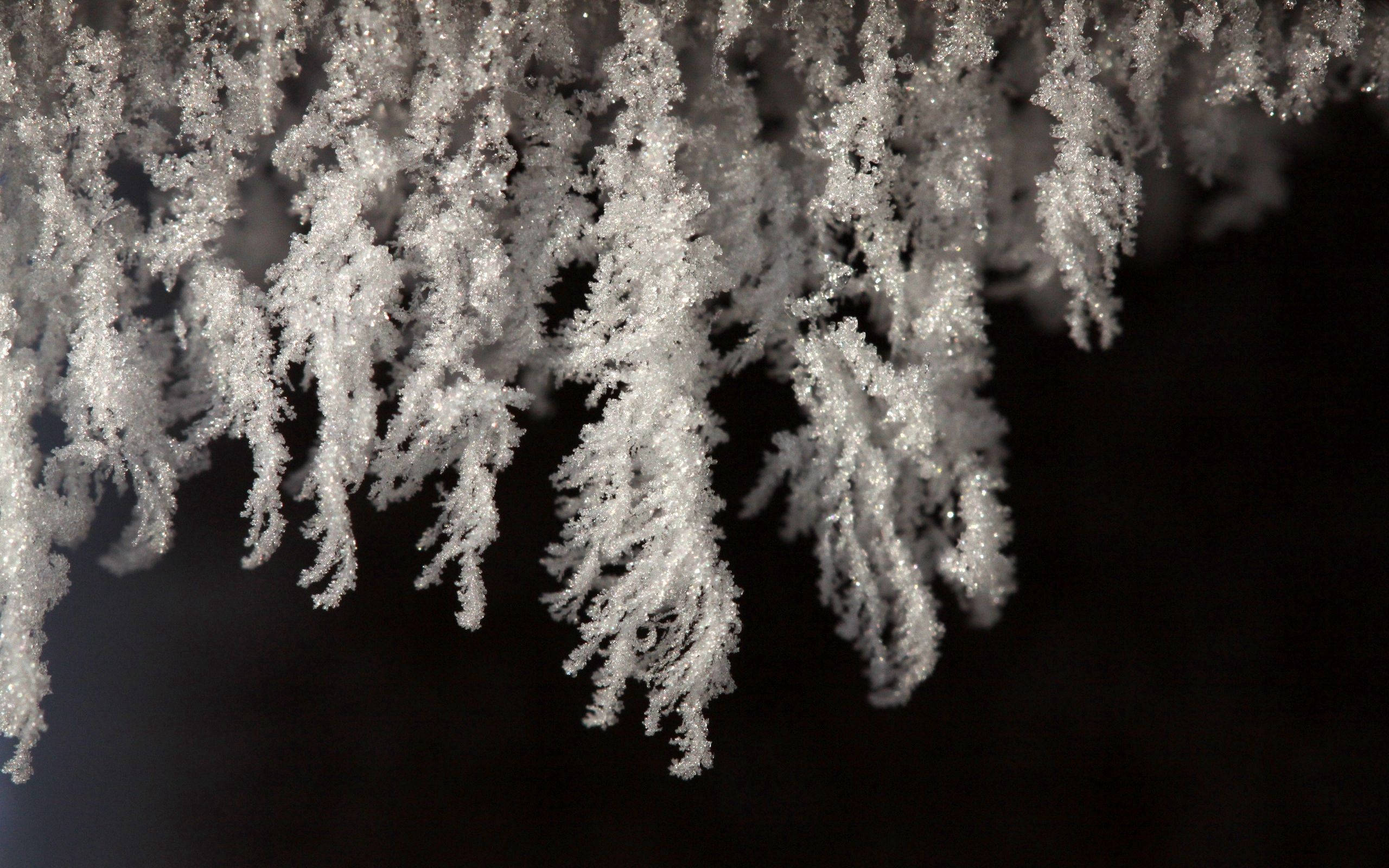 白雪公主 桌布 壁紙 — 精緻的白色霜晶像冰花邊一樣掛在黑暗背景上，特寫冬季場景。