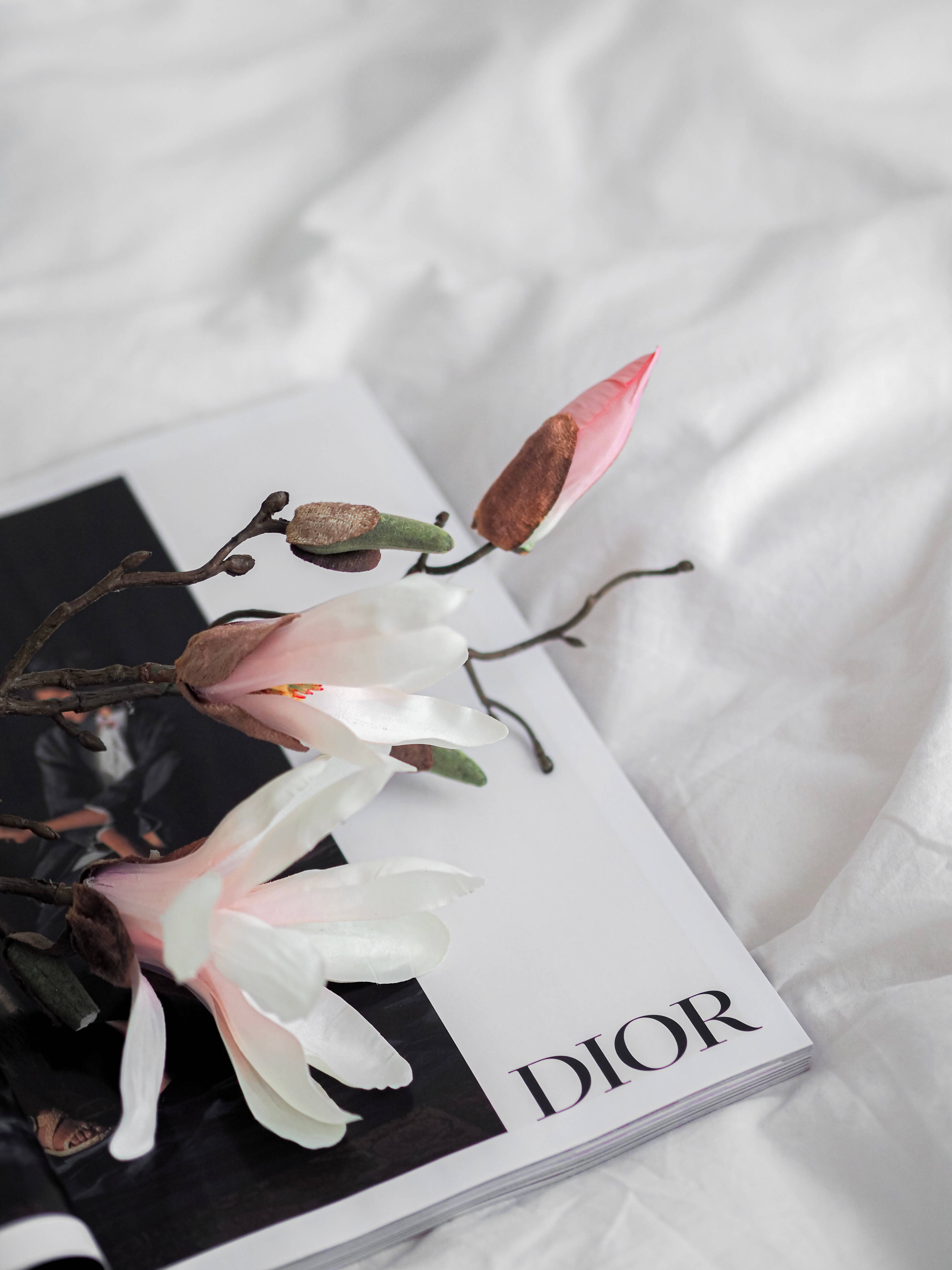 Dior 動態 桌布 壁紙 — 精緻的粉紅色和白色木蘭花放在皺巴巴的白色布料表面上的Dior雜誌上。